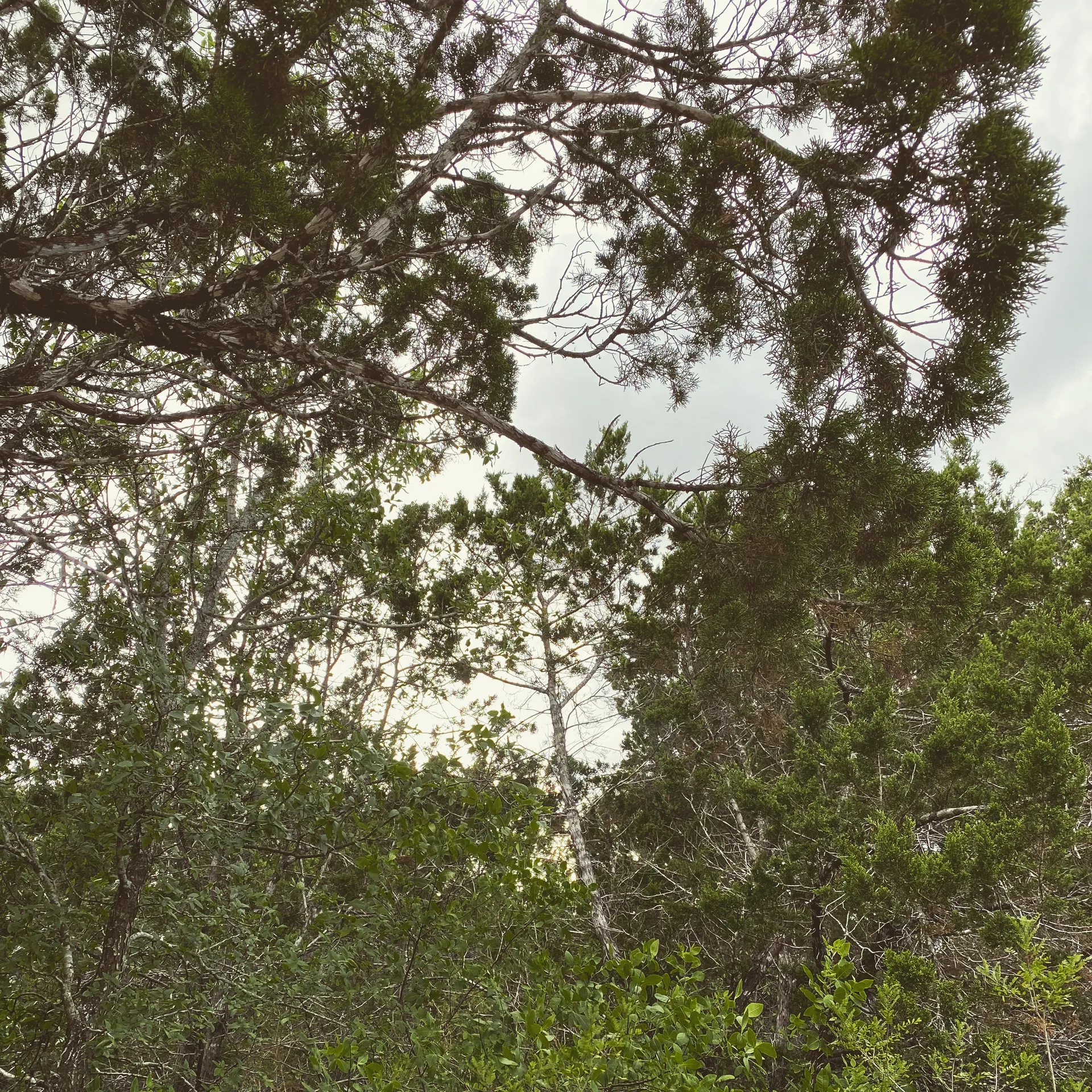 Stephanie Azure Bluet OnlyFans header