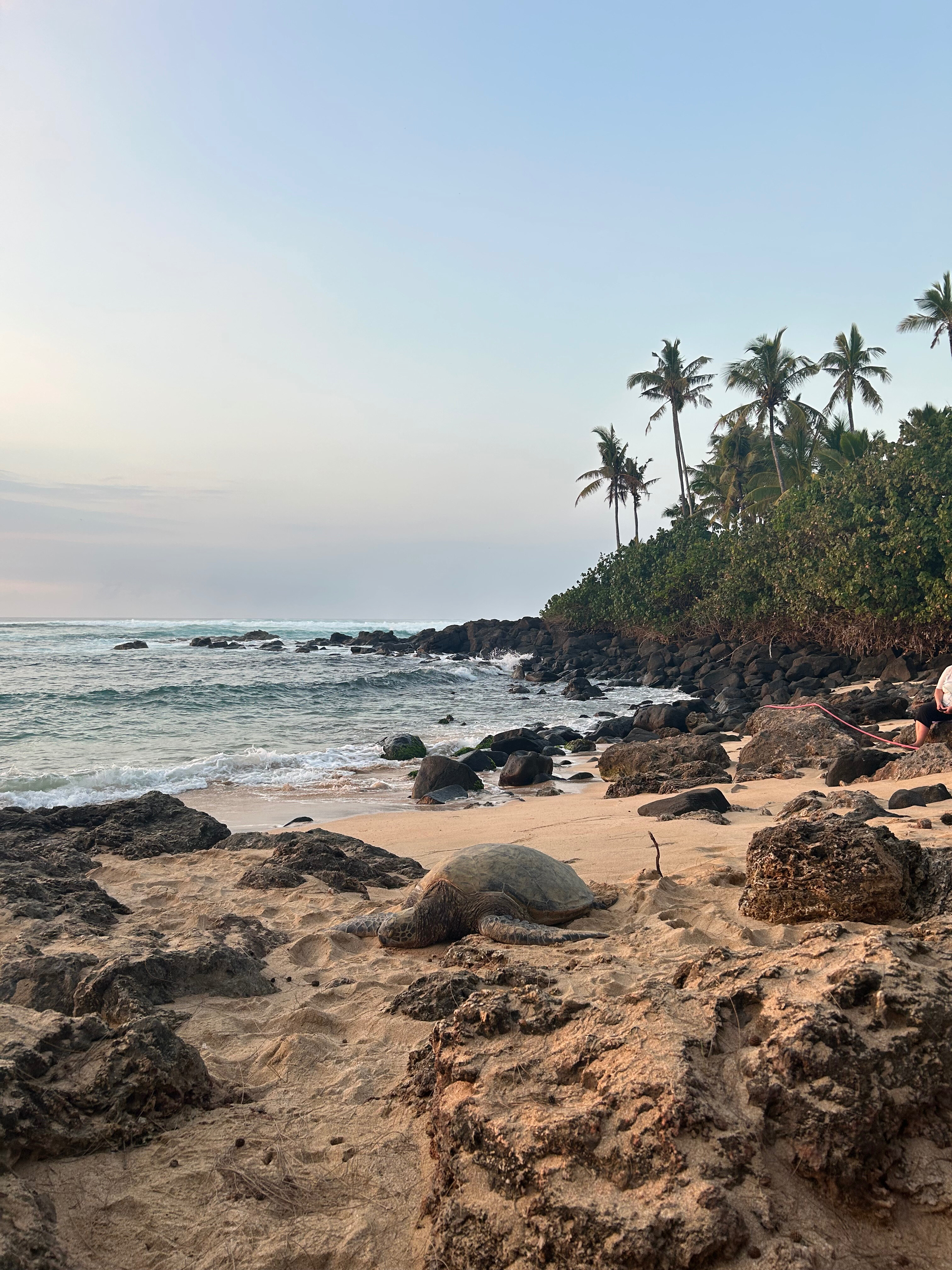 Aubree Blair OnlyFans header