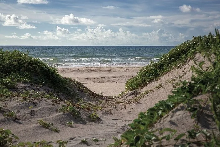 u161088101 OnlyFans header