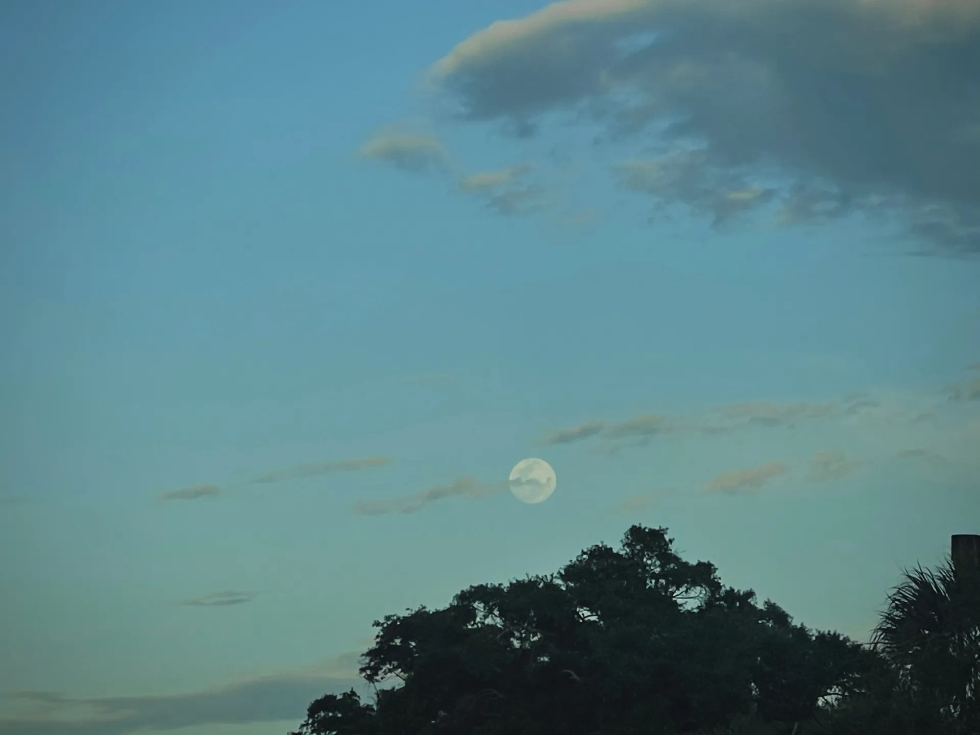 Rosalie 🏳️‍⚧️ OnlyFans header