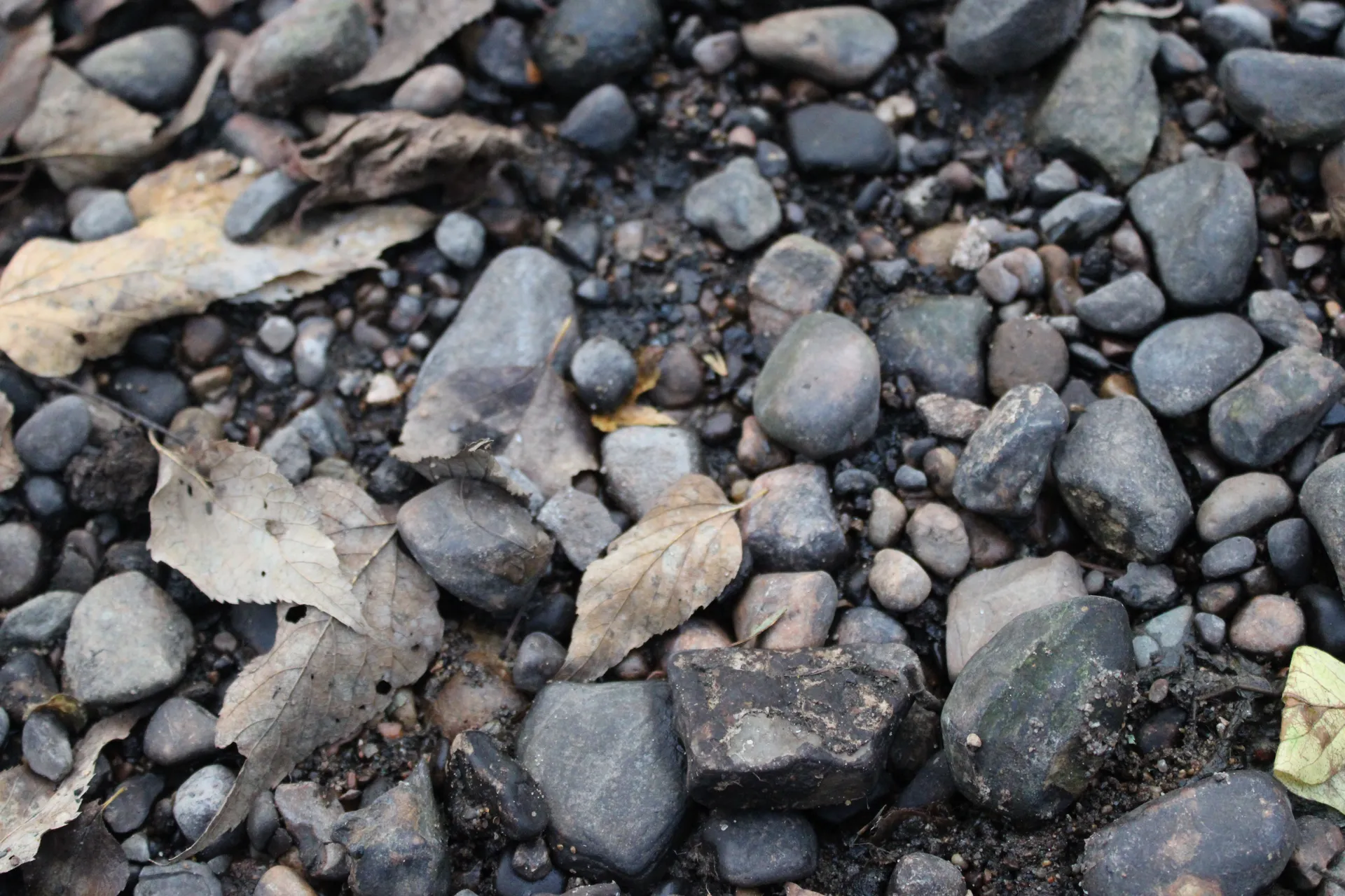 baby_jay20 OnlyFans header