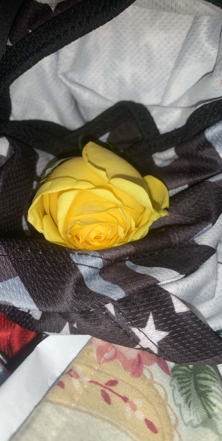 Bratty baby OnlyFans header