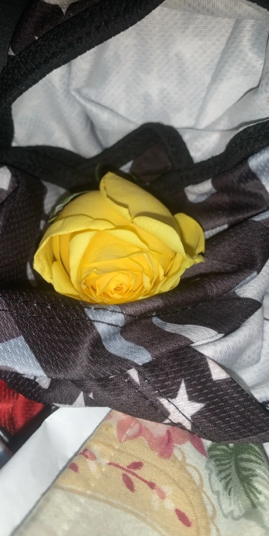 Bratty baby OnlyFans header