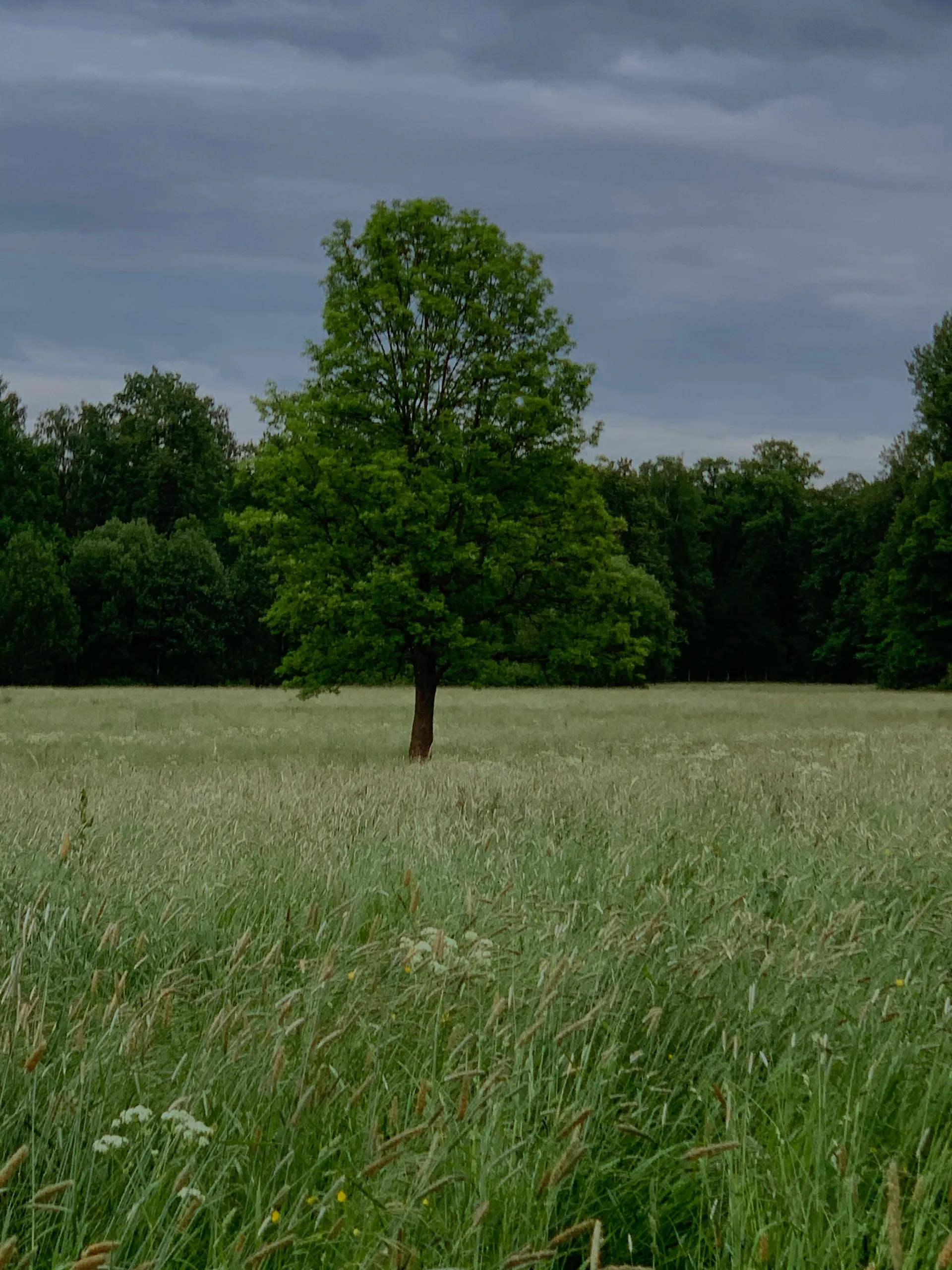 babyfacenorth OnlyFans header