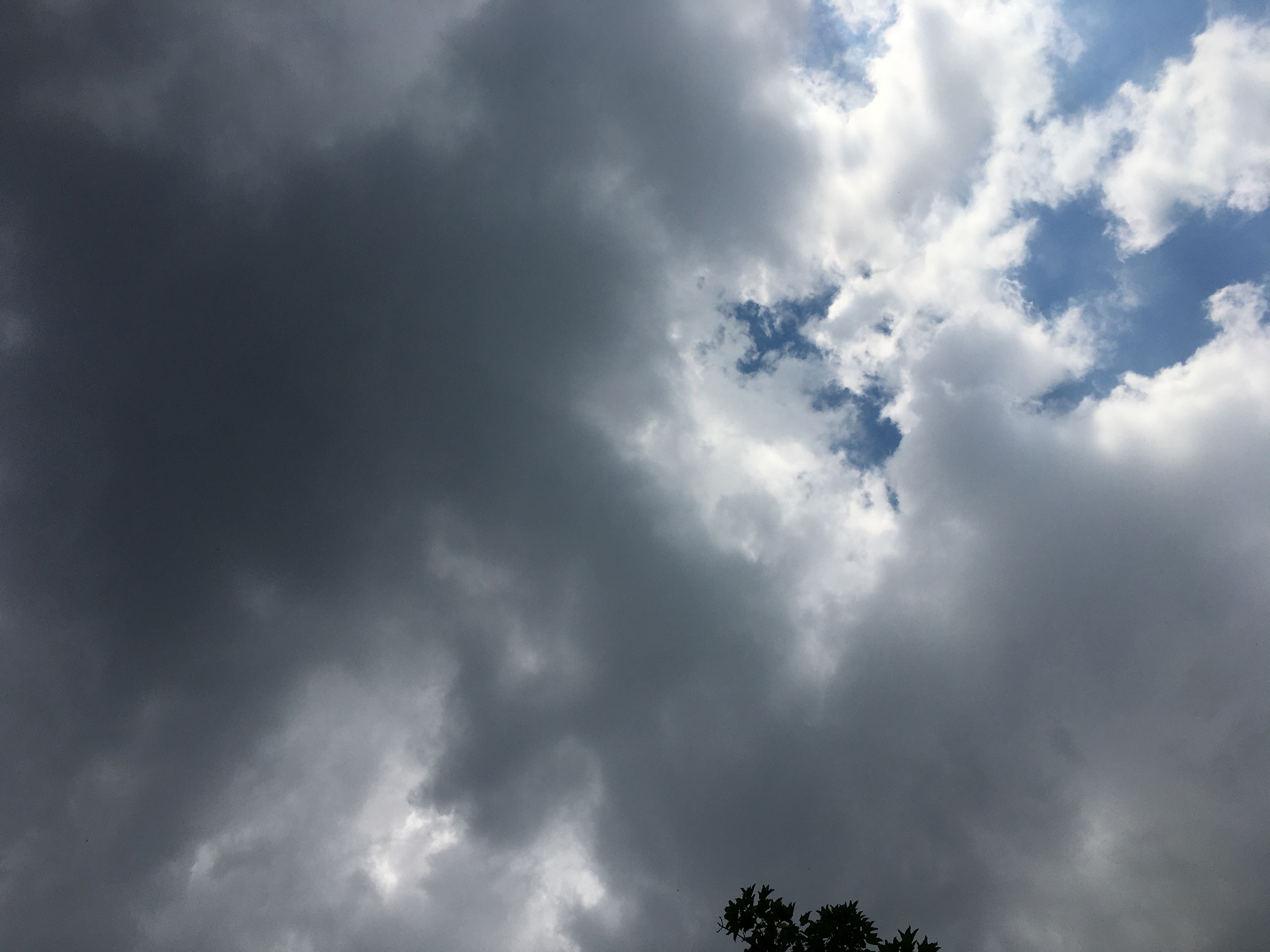 babyhoe OnlyFans header