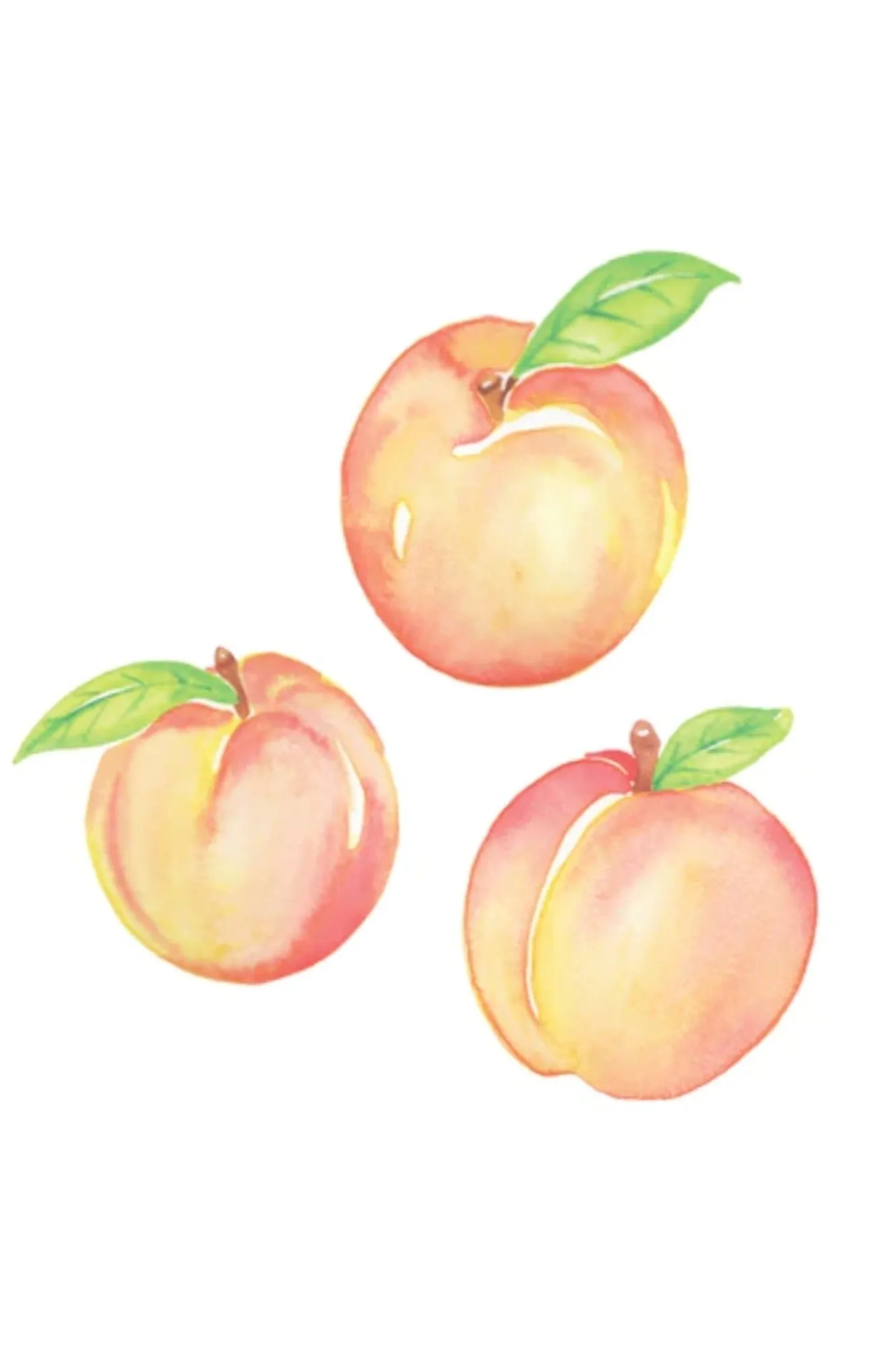 BabyPeach OnlyFans header