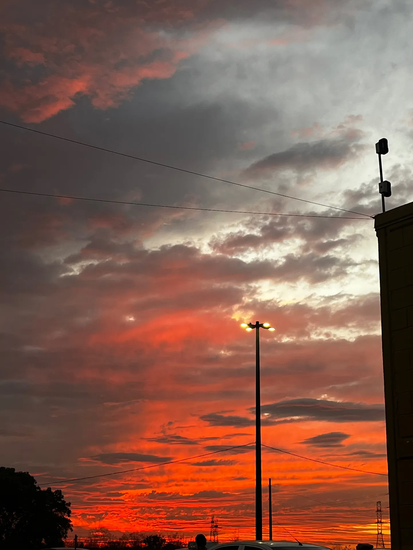 Caro OnlyFans header