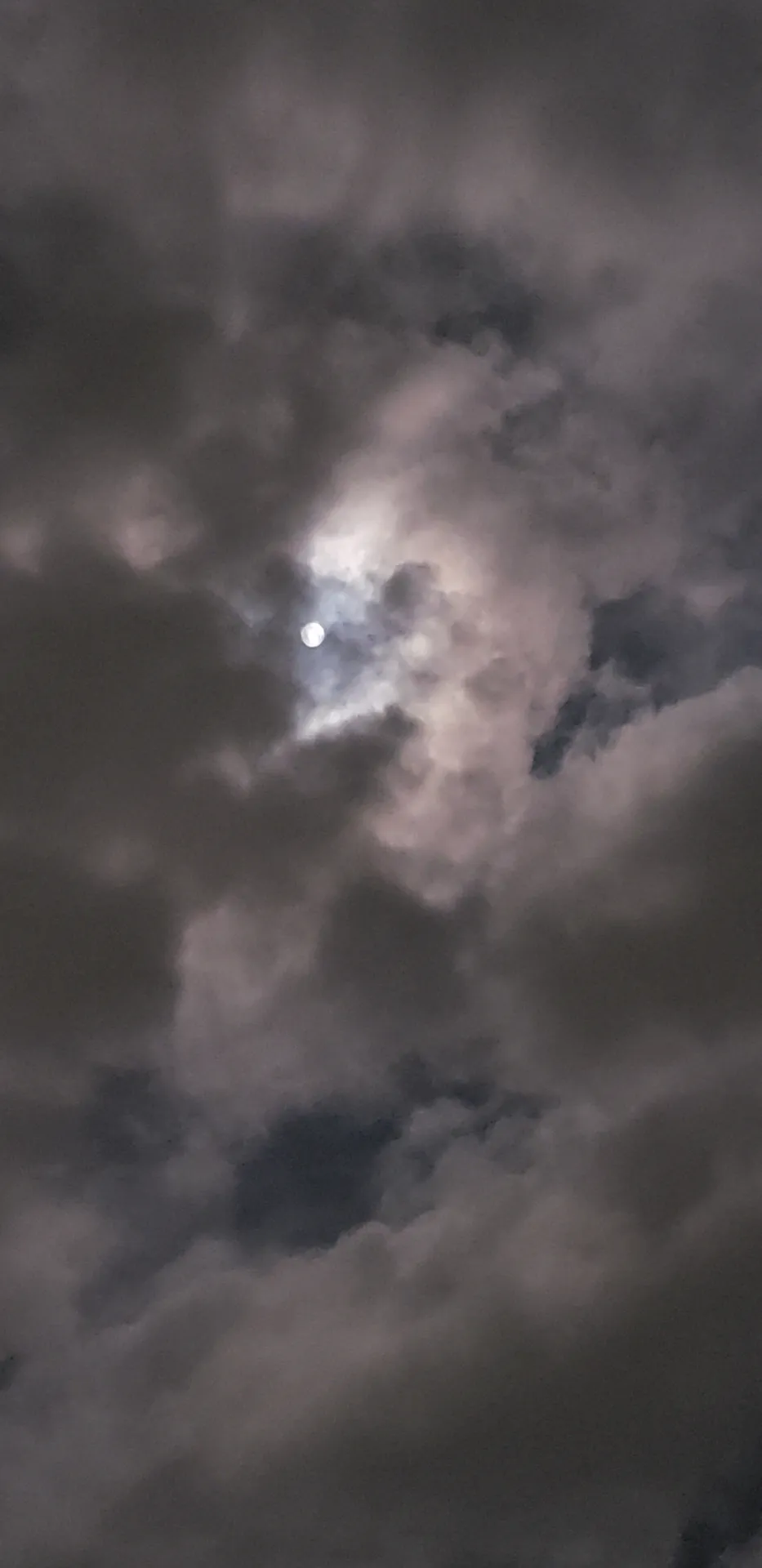 Little Lola OnlyFans profile picture