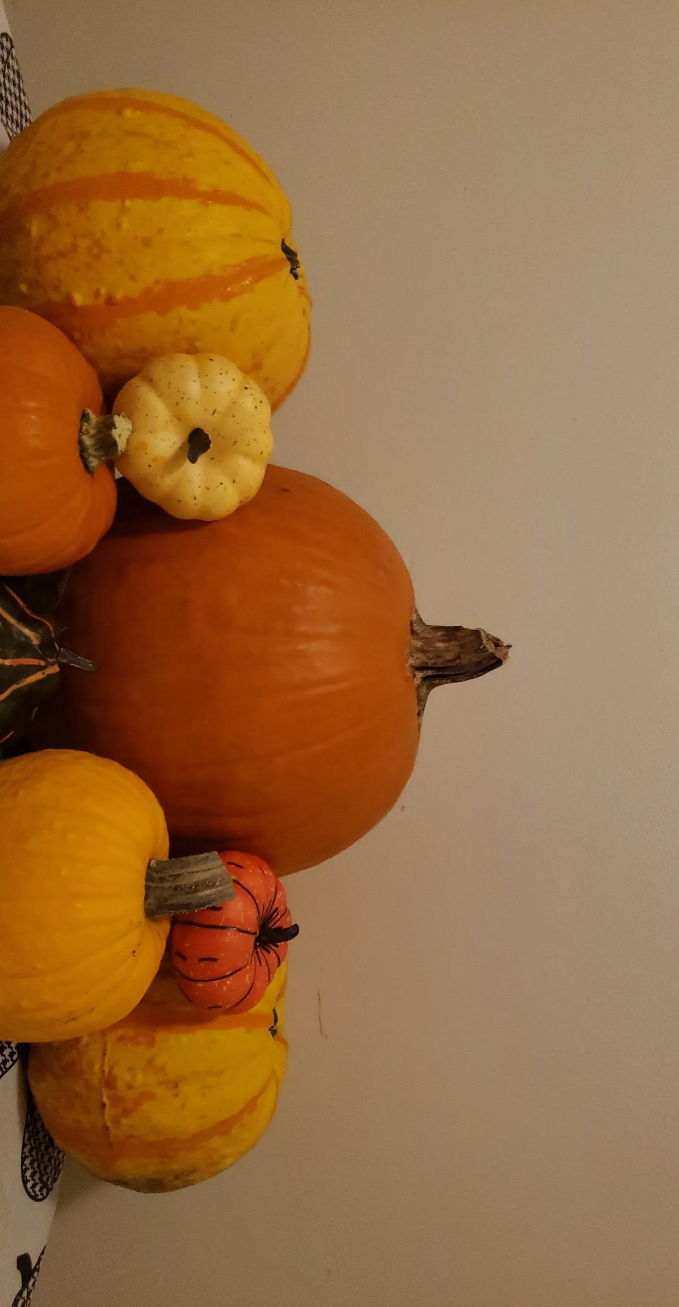 Little Lola OnlyFans header