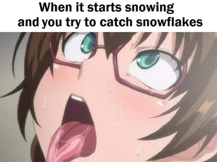 backbox box OnlyFans header