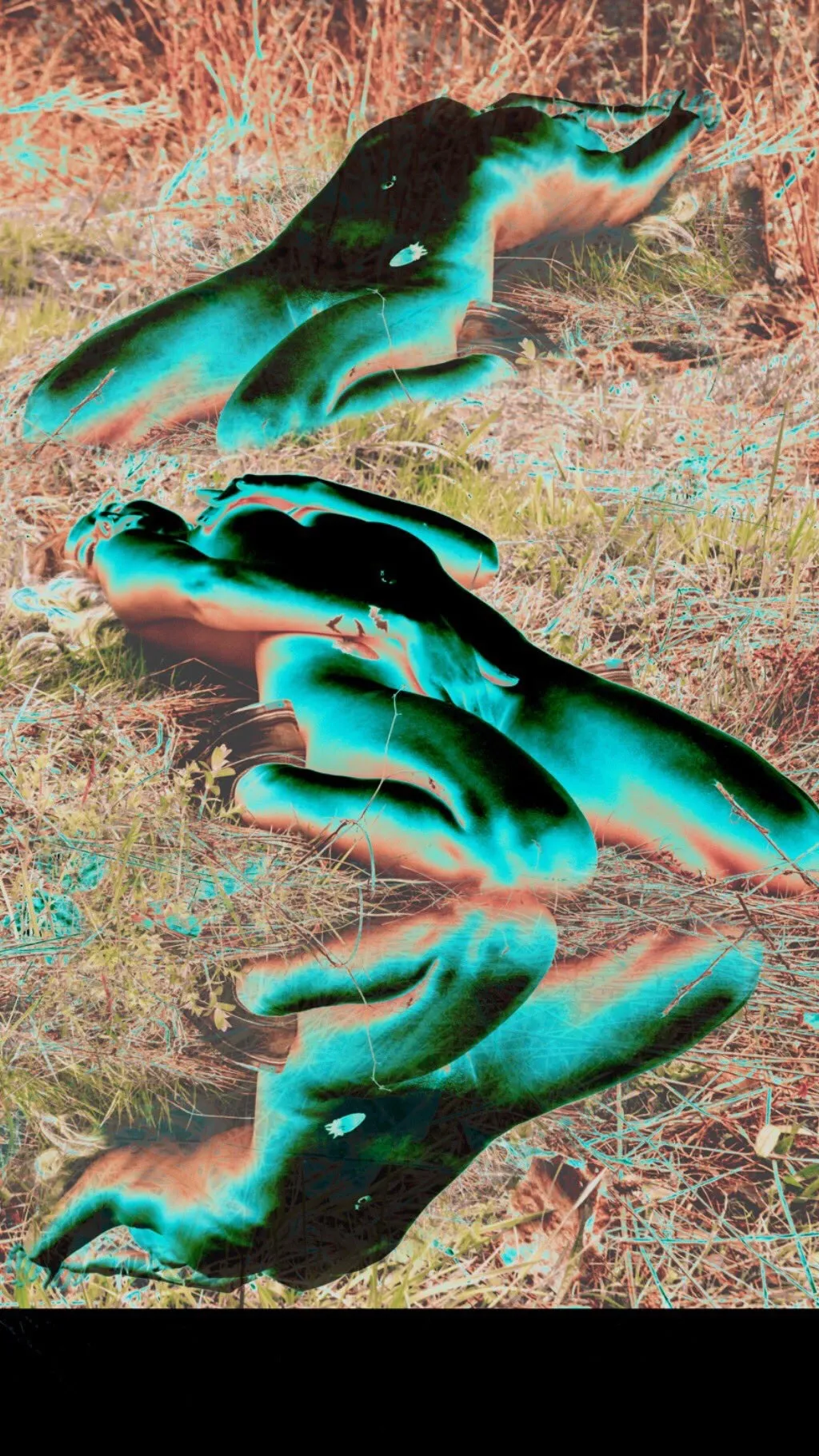 Baking Bunnie OnlyFans header