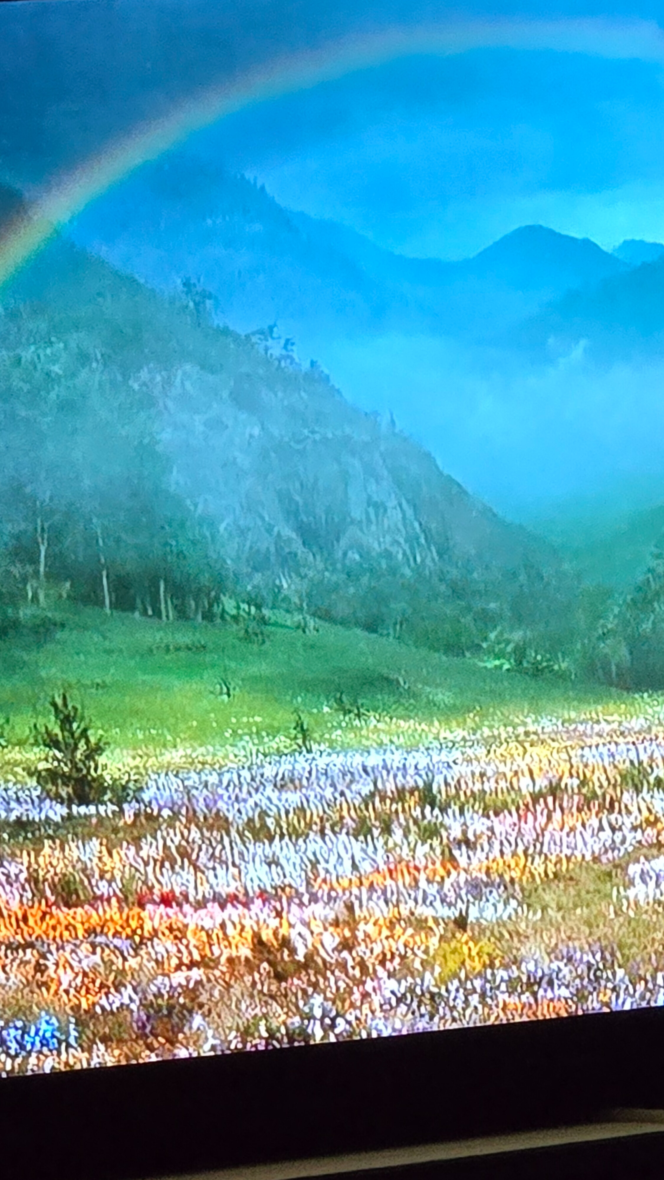 Bambiskii OnlyFans header