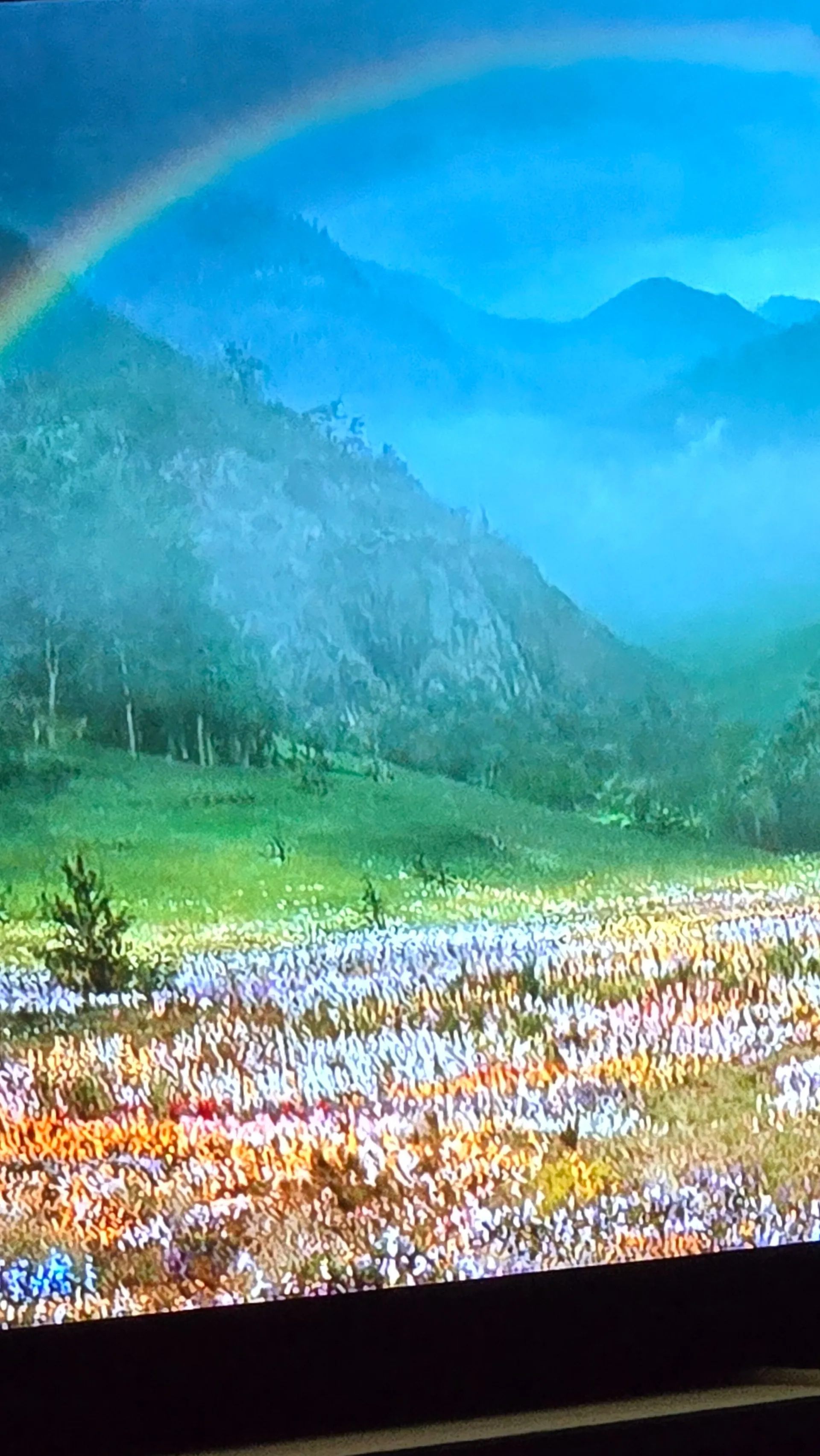 Bambiskii OnlyFans header