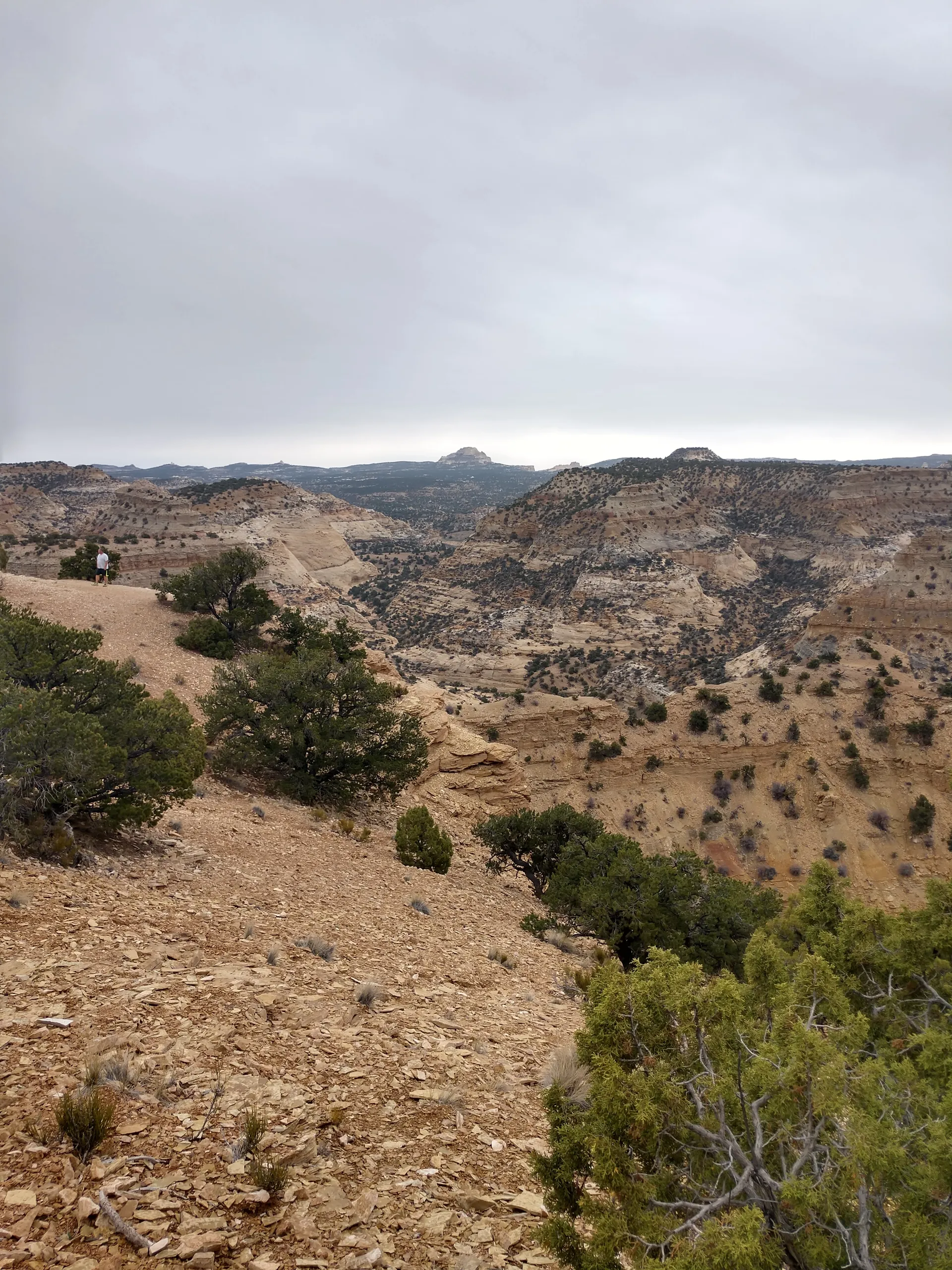 Bamfurlough OnlyFans header