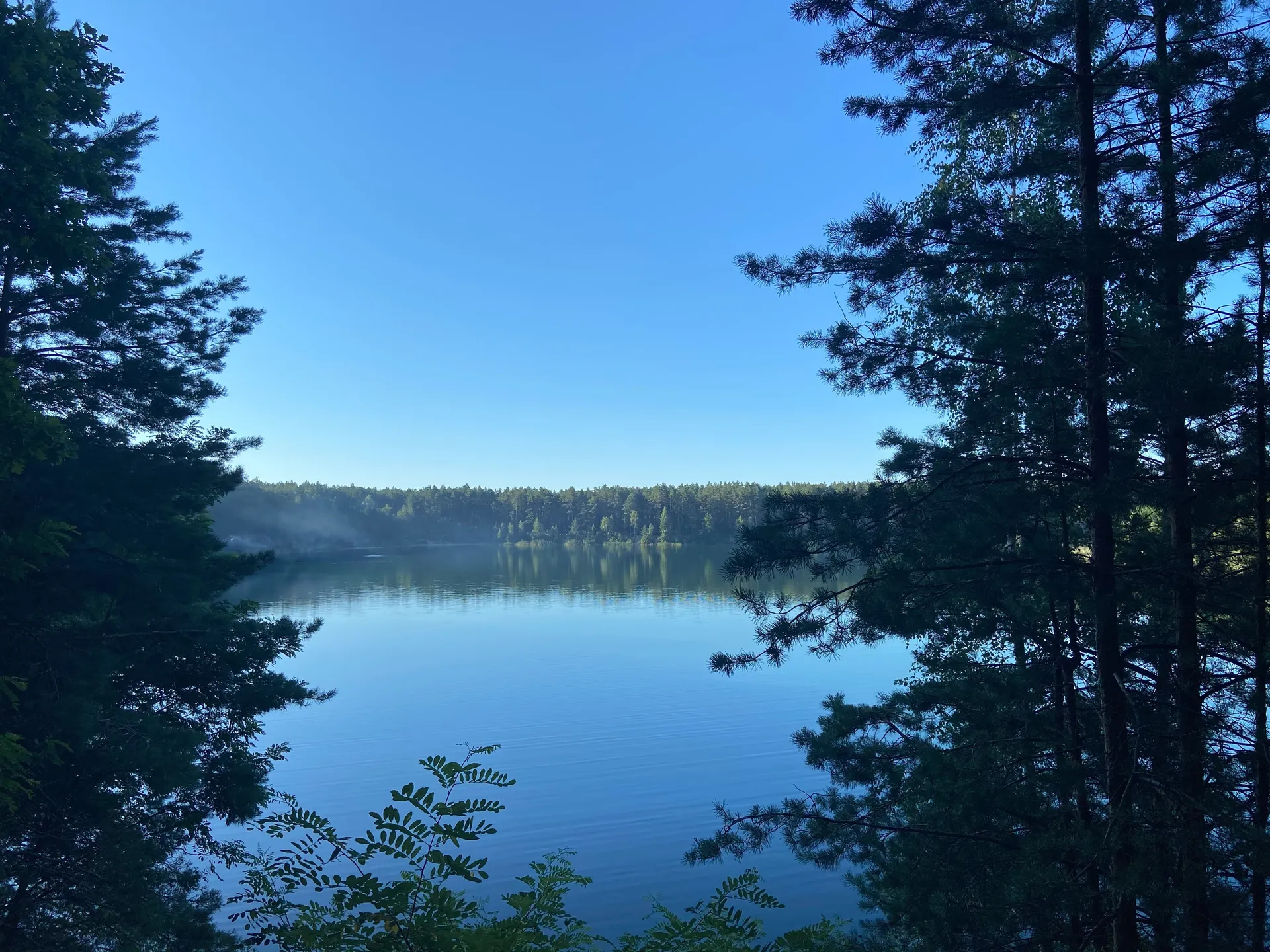 Alex OnlyFans header