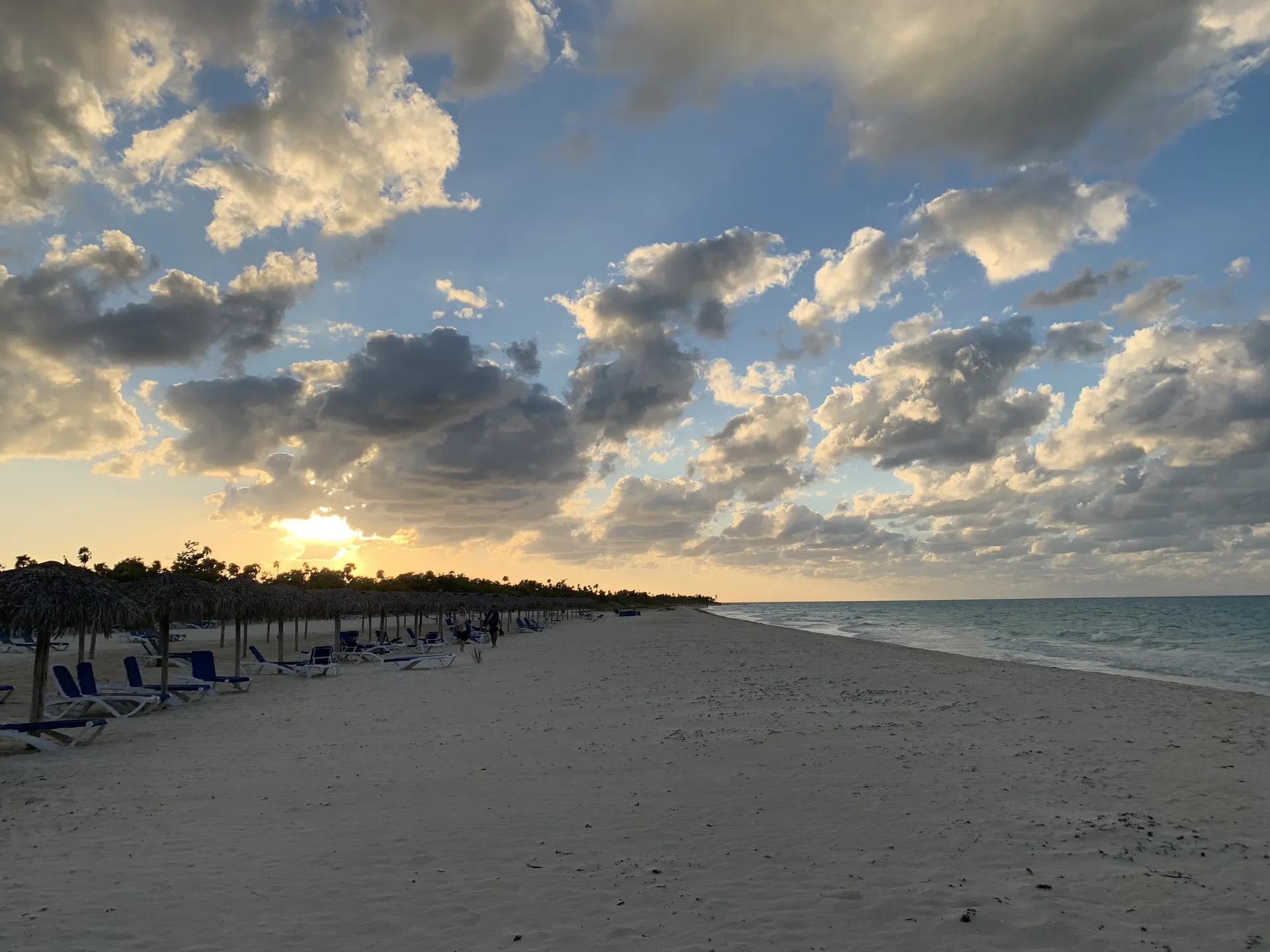 Bella OnlyFans header