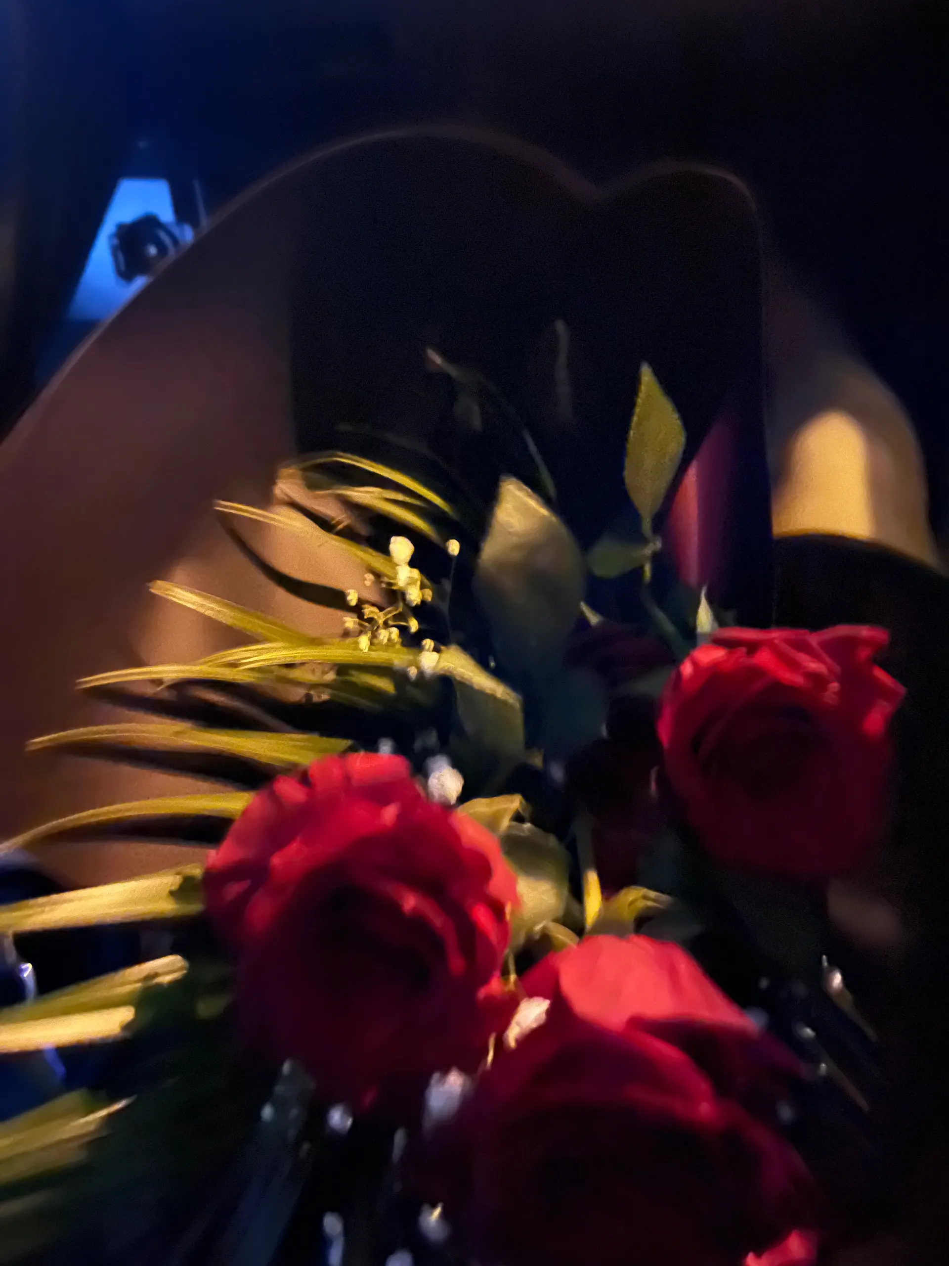 Queen B OnlyFans header