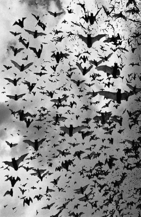 satans favorite OnlyFans header