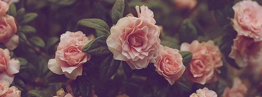 Kay OnlyFans header