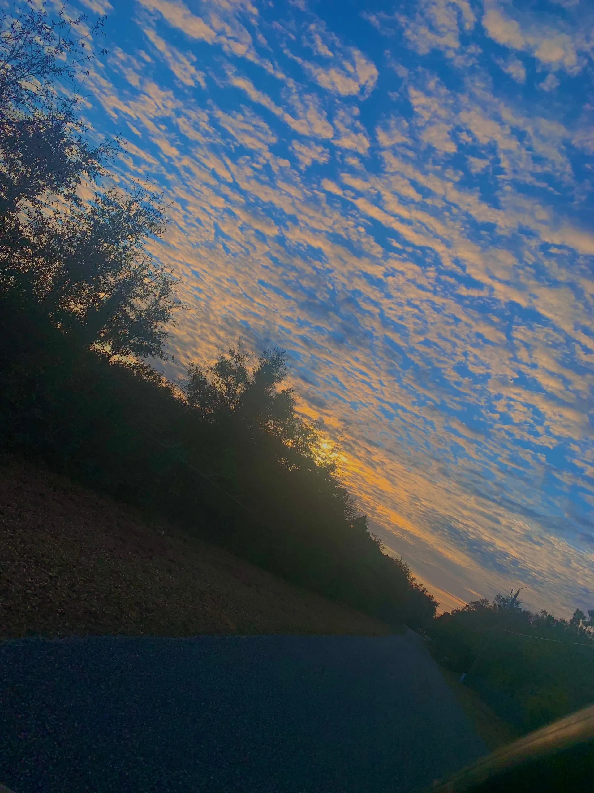 Chey OnlyFans header