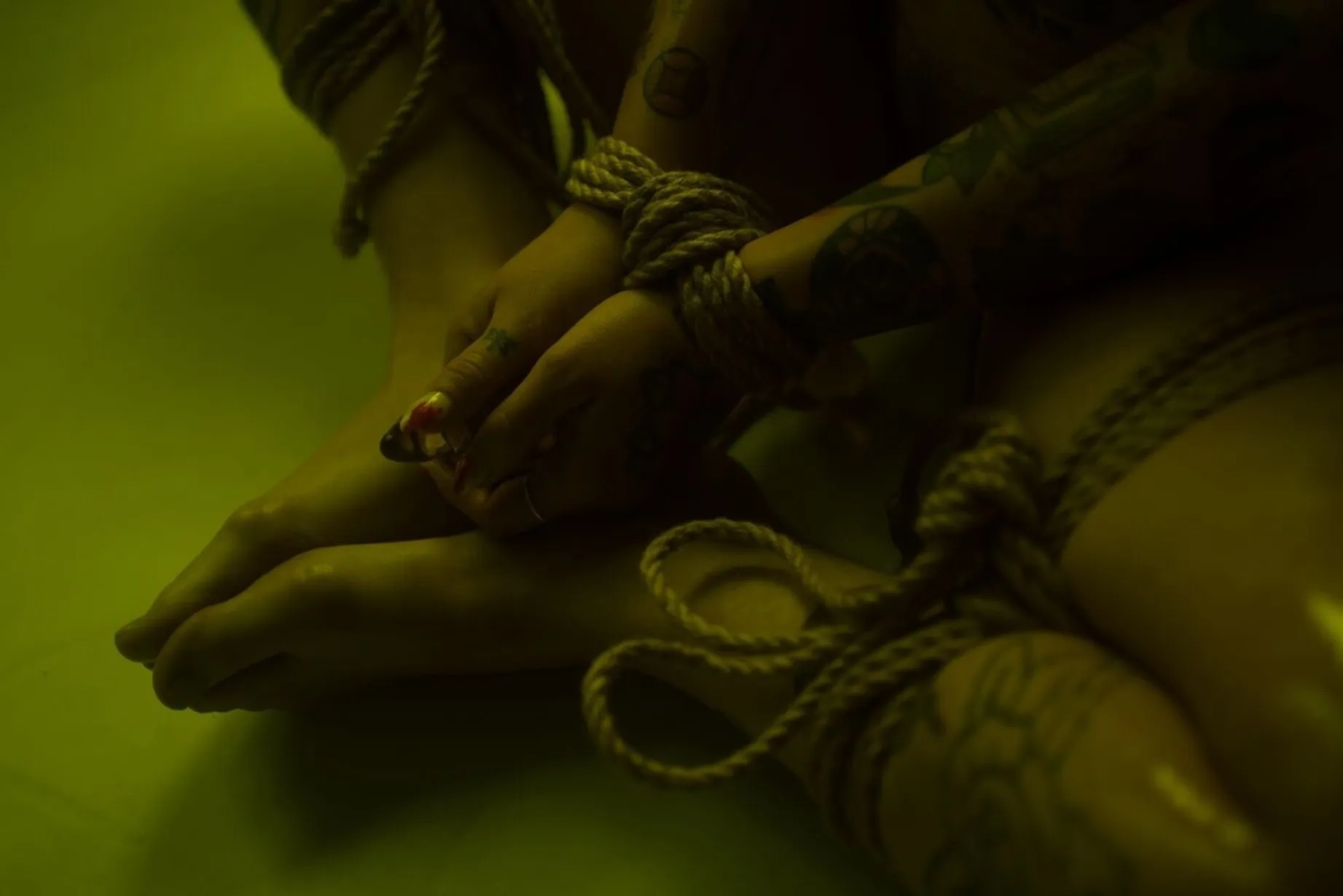 Dex OnlyFans header