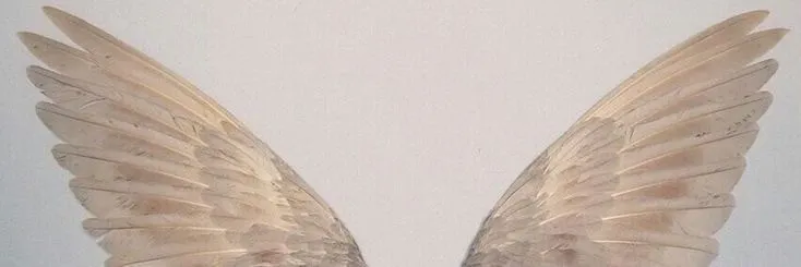 Boticelli Becky OnlyFans header