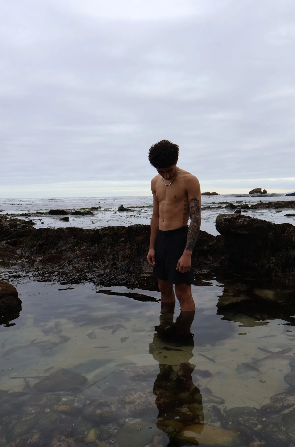 Daddy Bernardo OnlyFans header