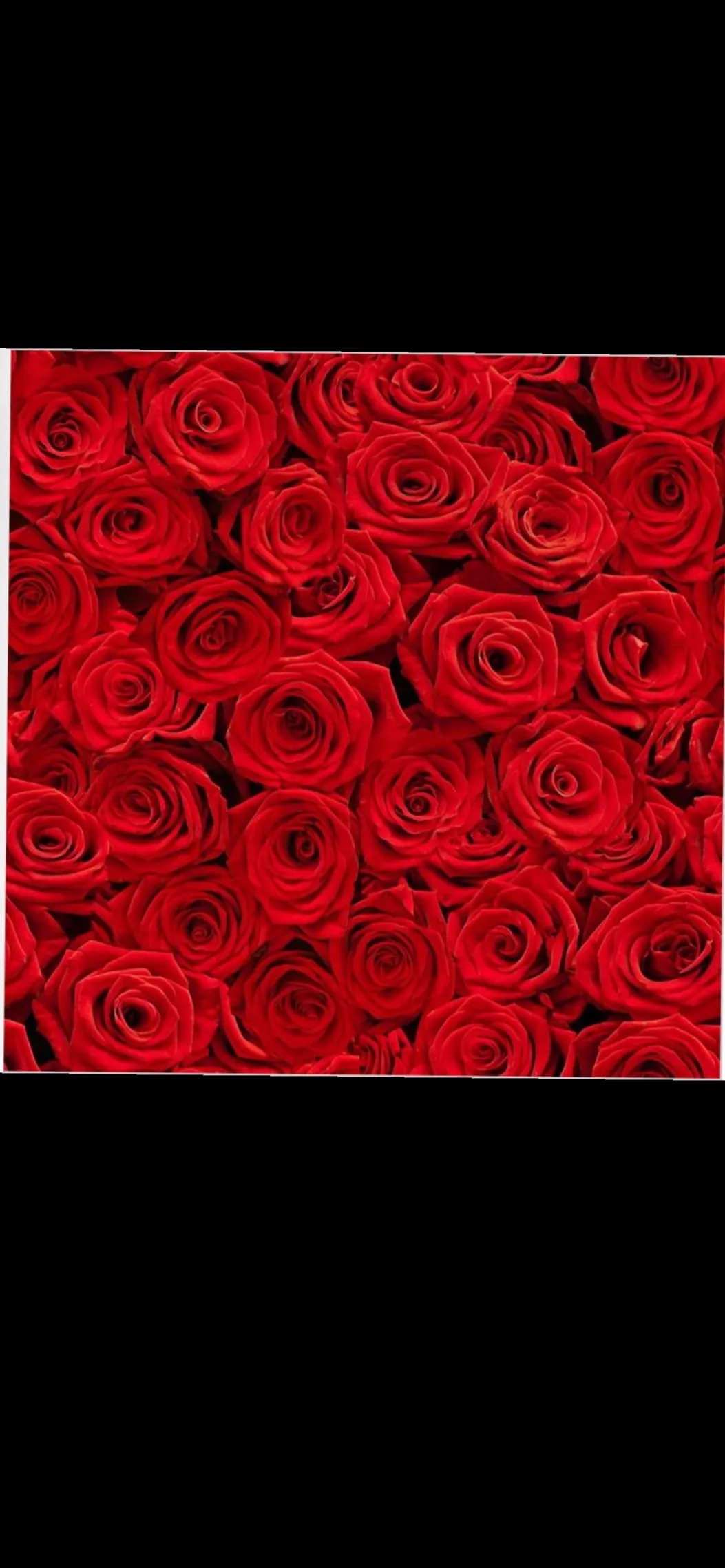 Amber Rose 🌹 OnlyFans header