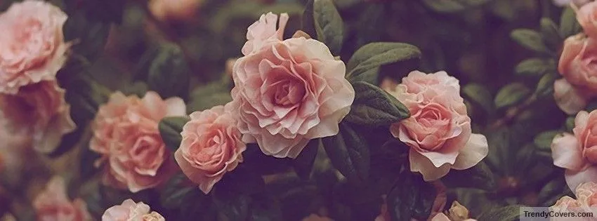 blonde baby OnlyFans header