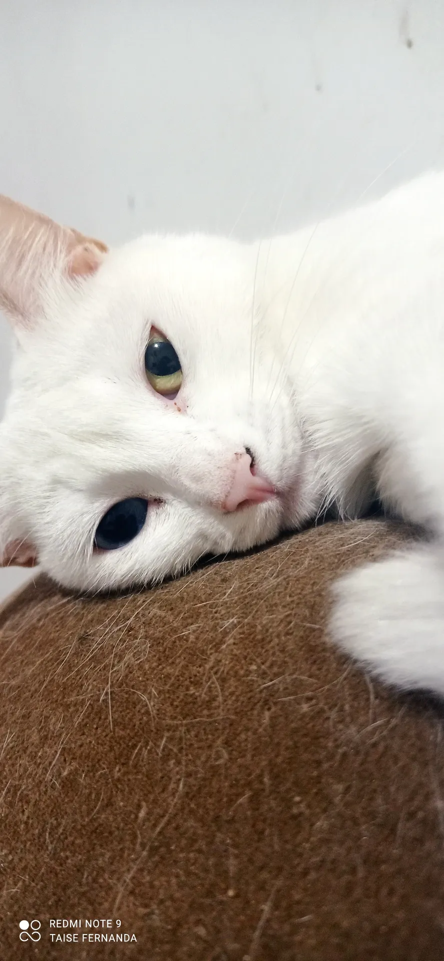 Nina OnlyFans profile picture