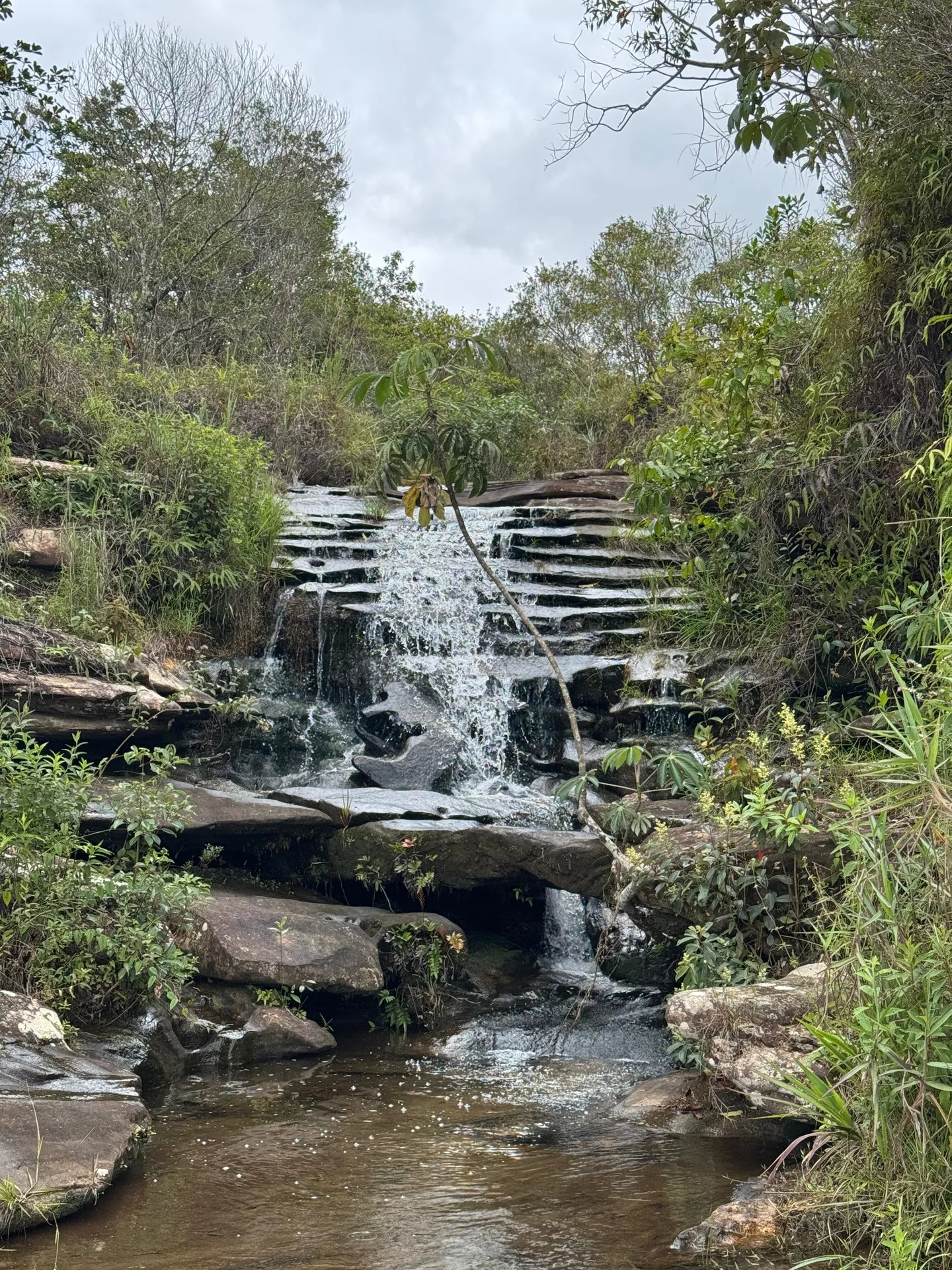 Borges OnlyFans header