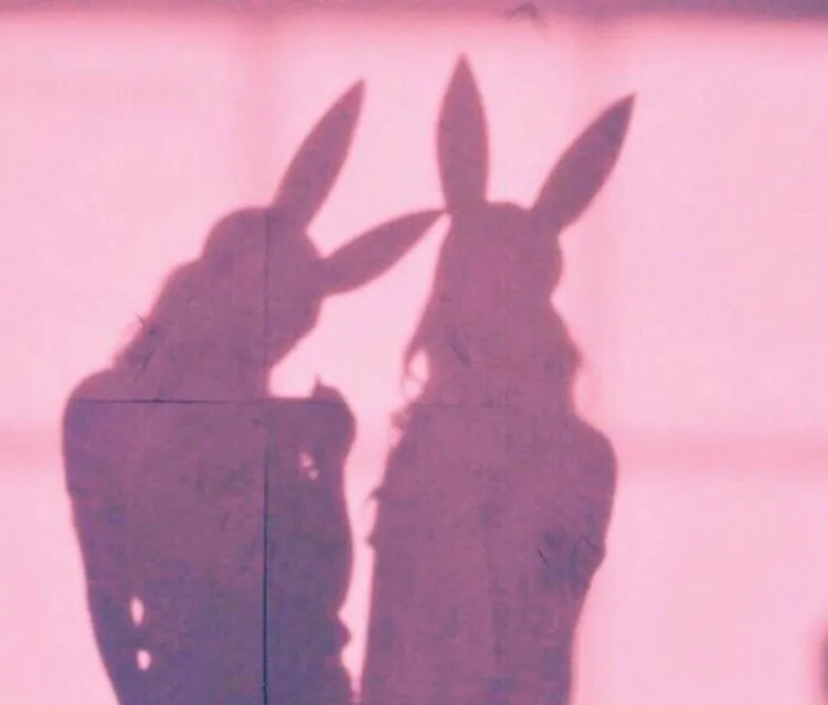 bunny’s playroom OnlyFans header