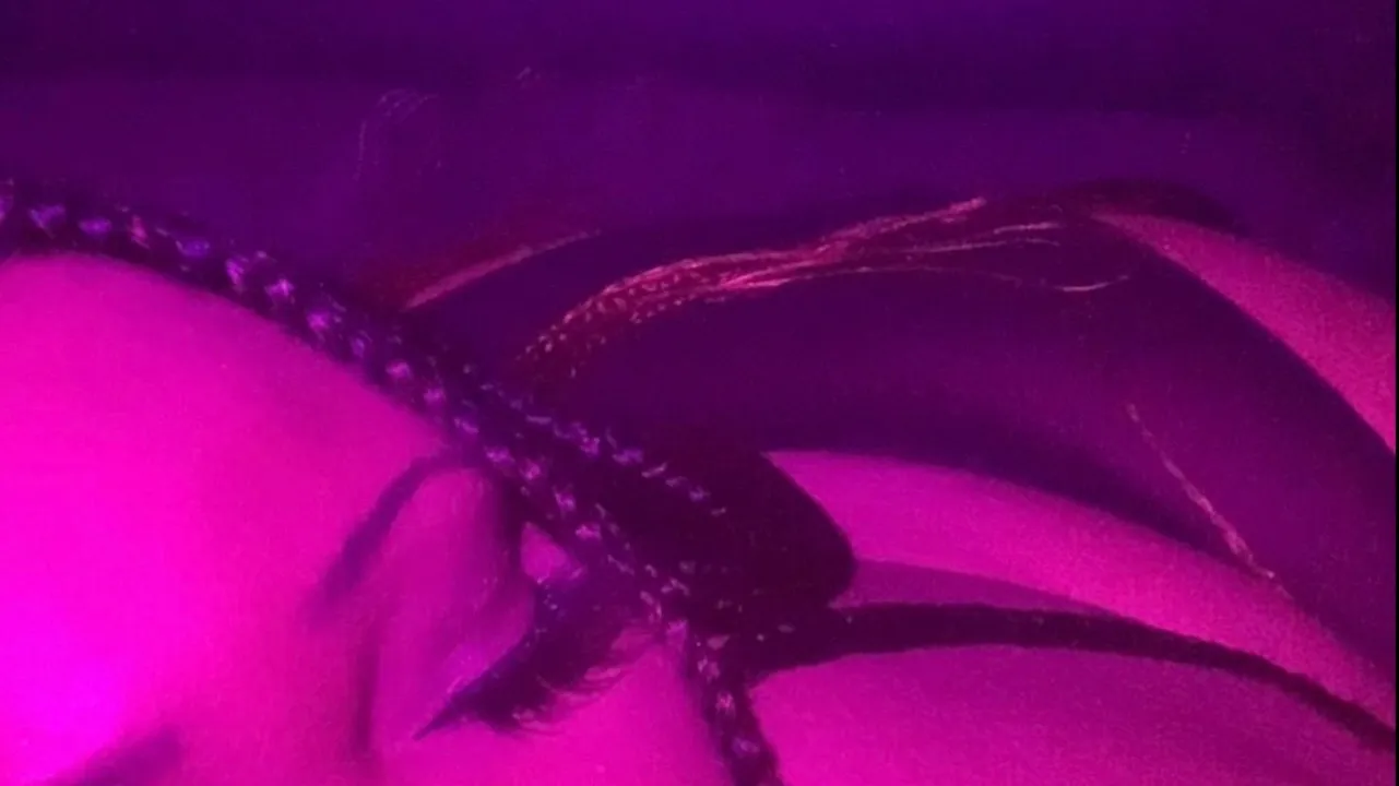 Cen🖤 OnlyFans header