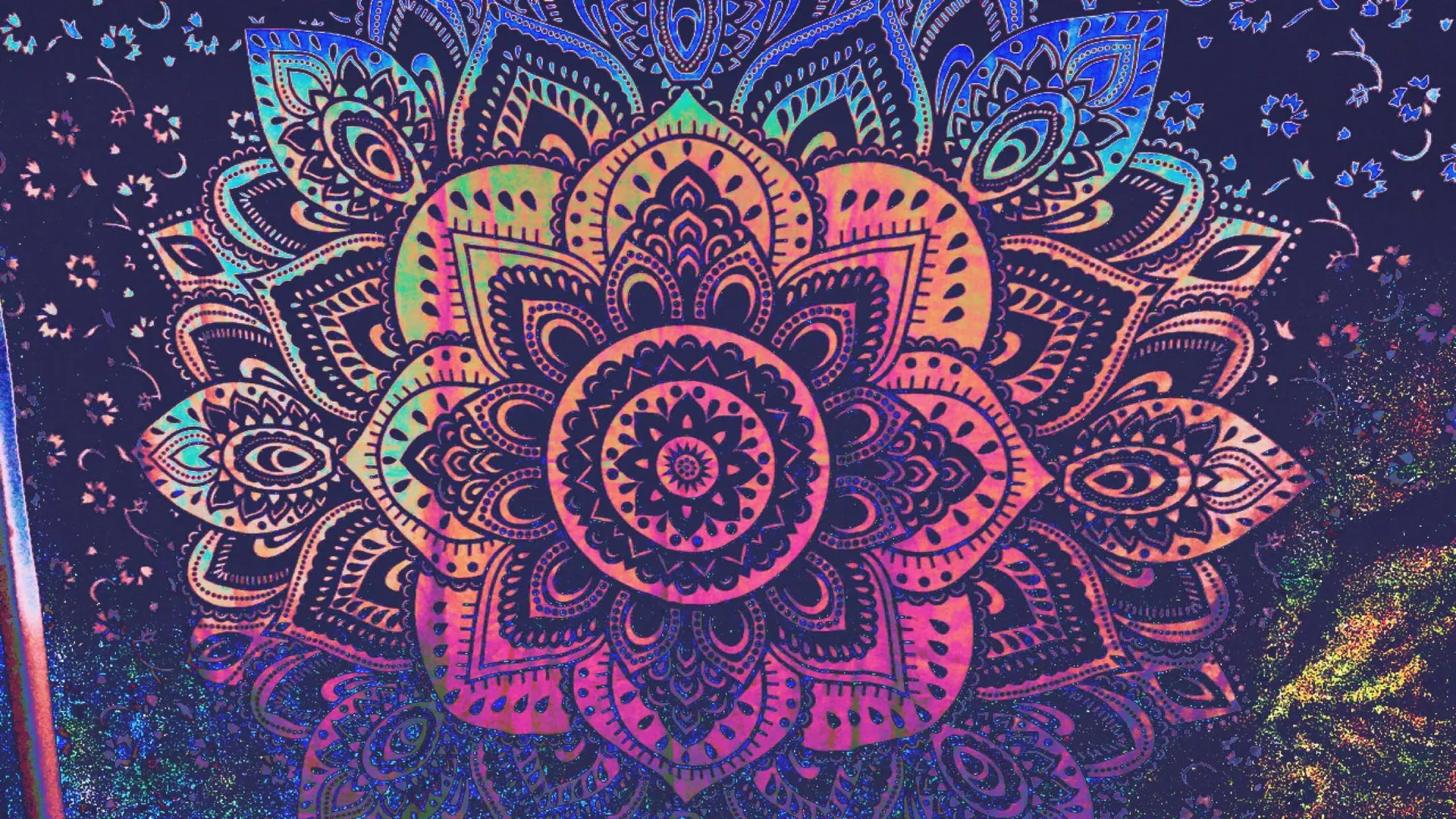 Lillian OnlyFans header