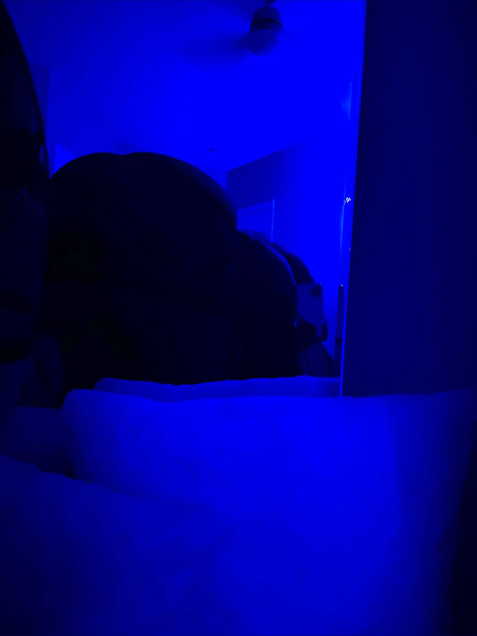BBW Land OnlyFans header