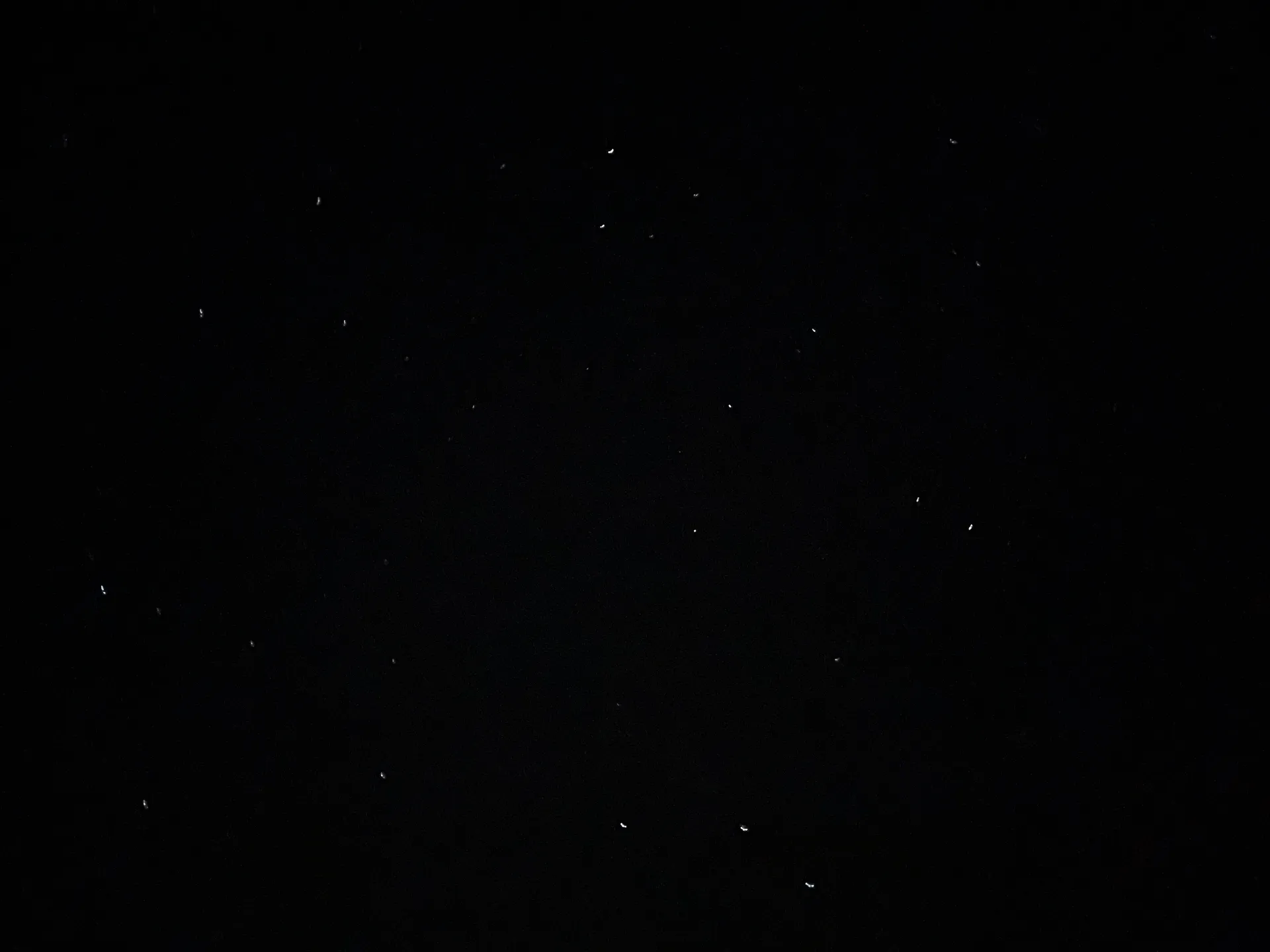 Laila Rose OnlyFans header