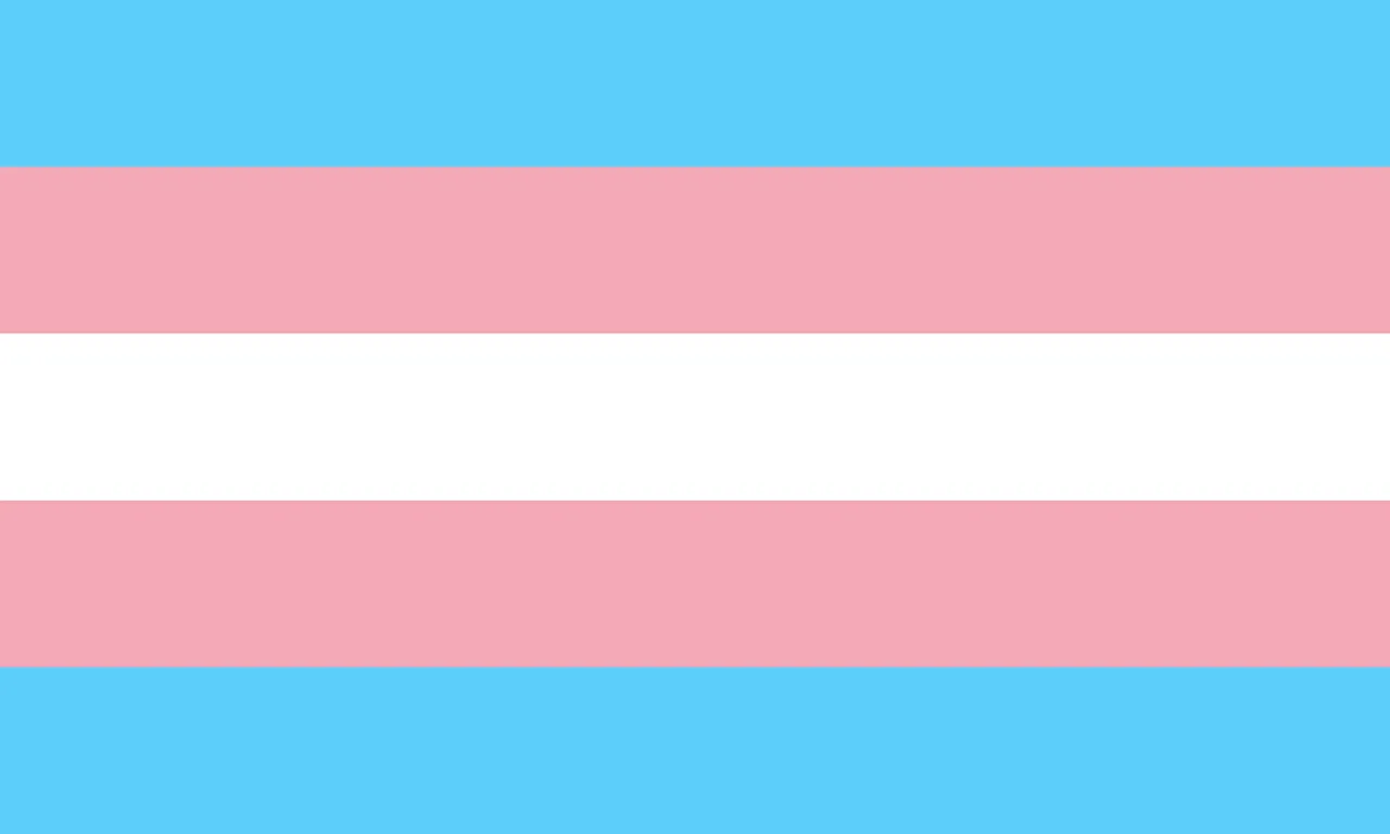 Bbwtrans OnlyFans header