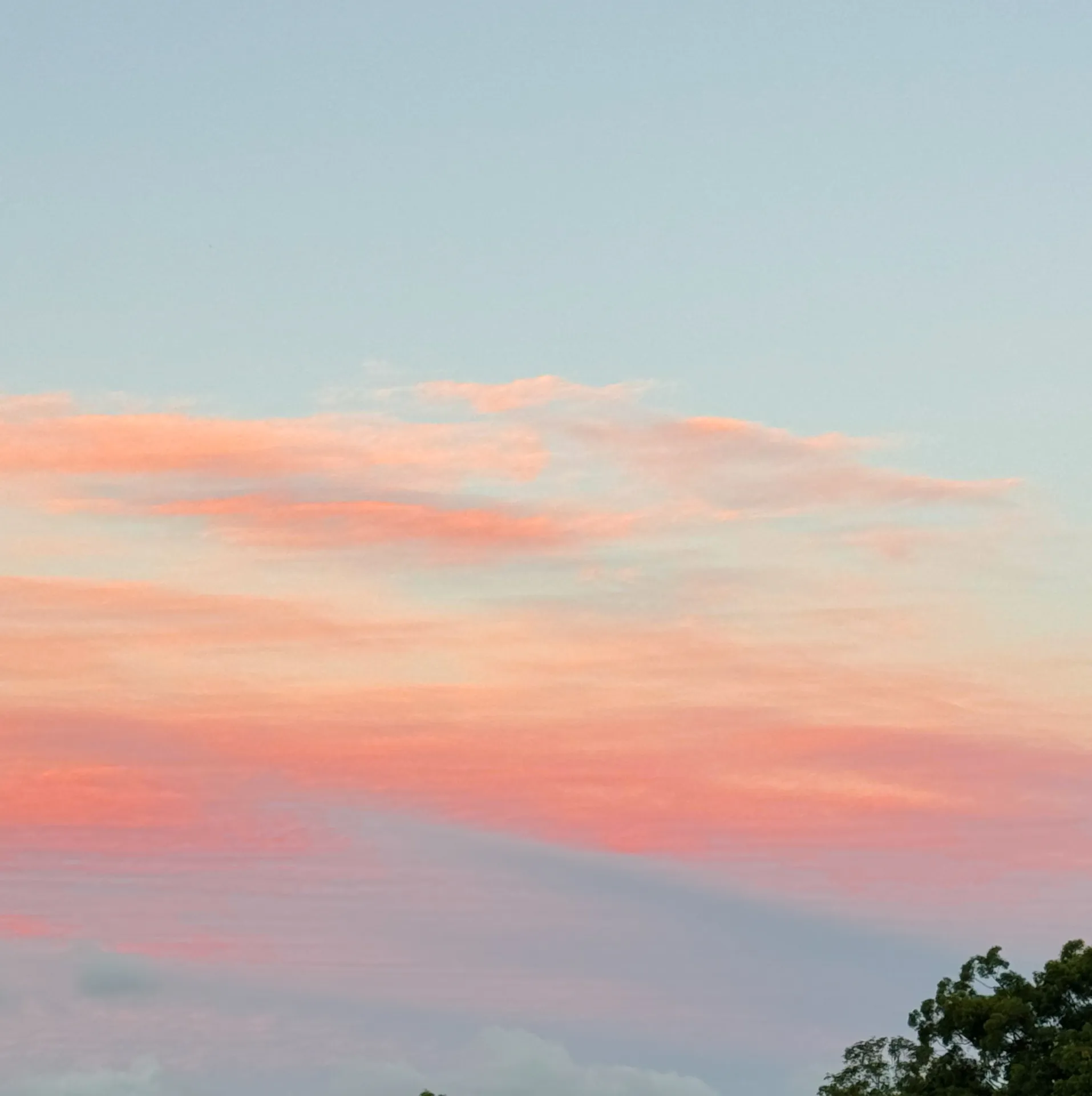 u14509911
