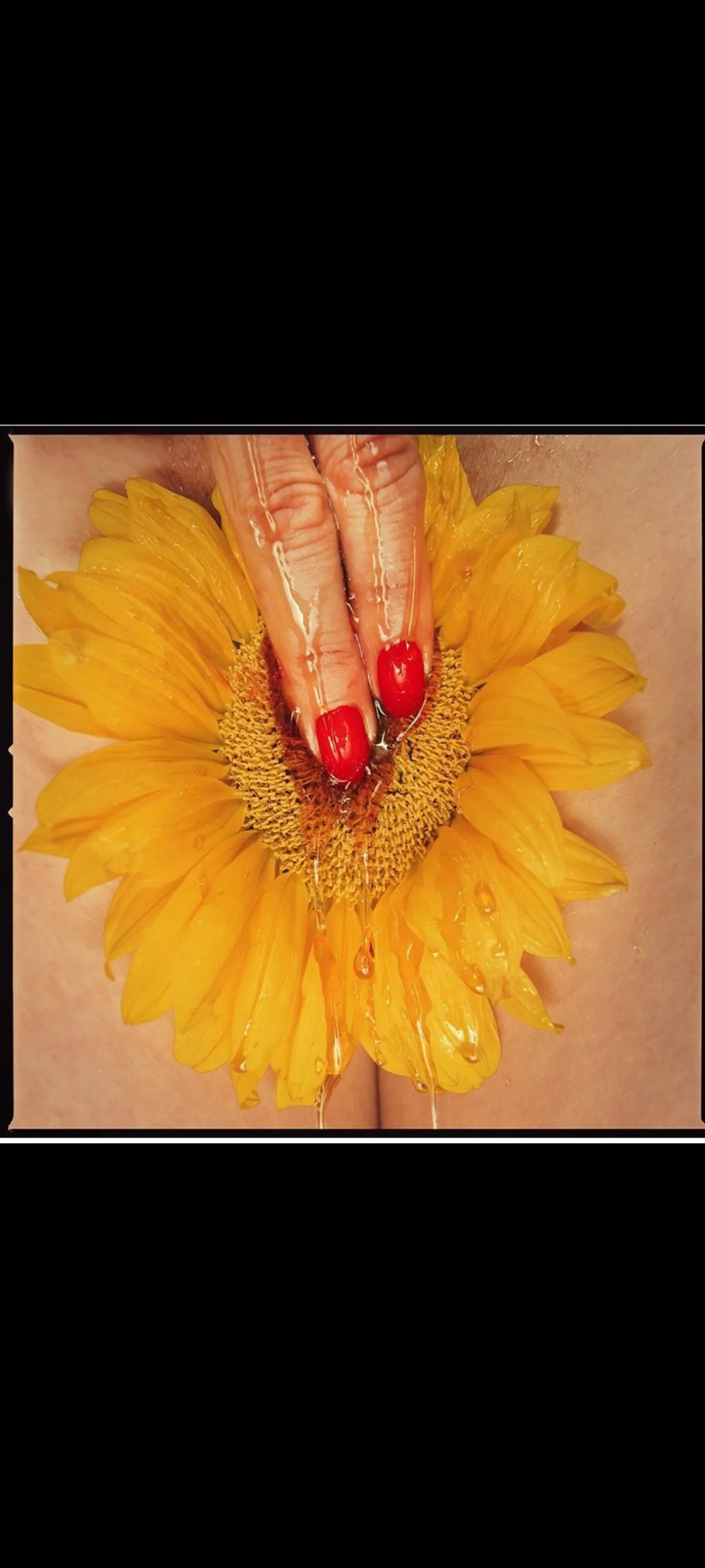 Bella 🦋 OnlyFans header