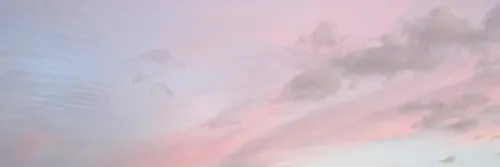 Ellz OnlyFans header