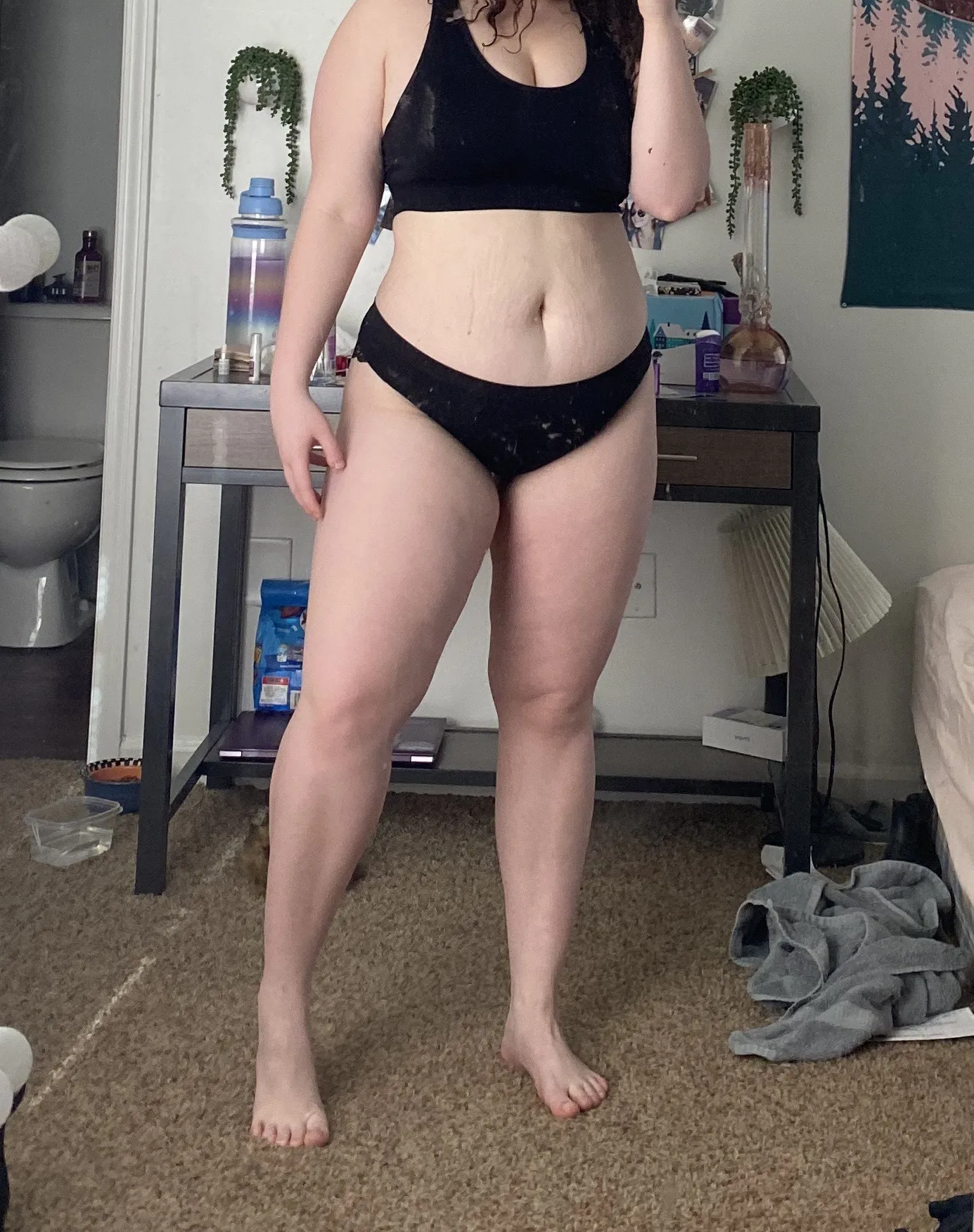 bbygirlbella OnlyFans profile picture