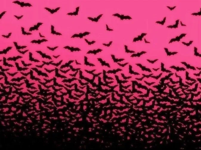 Starr 🦇 OnlyFans header