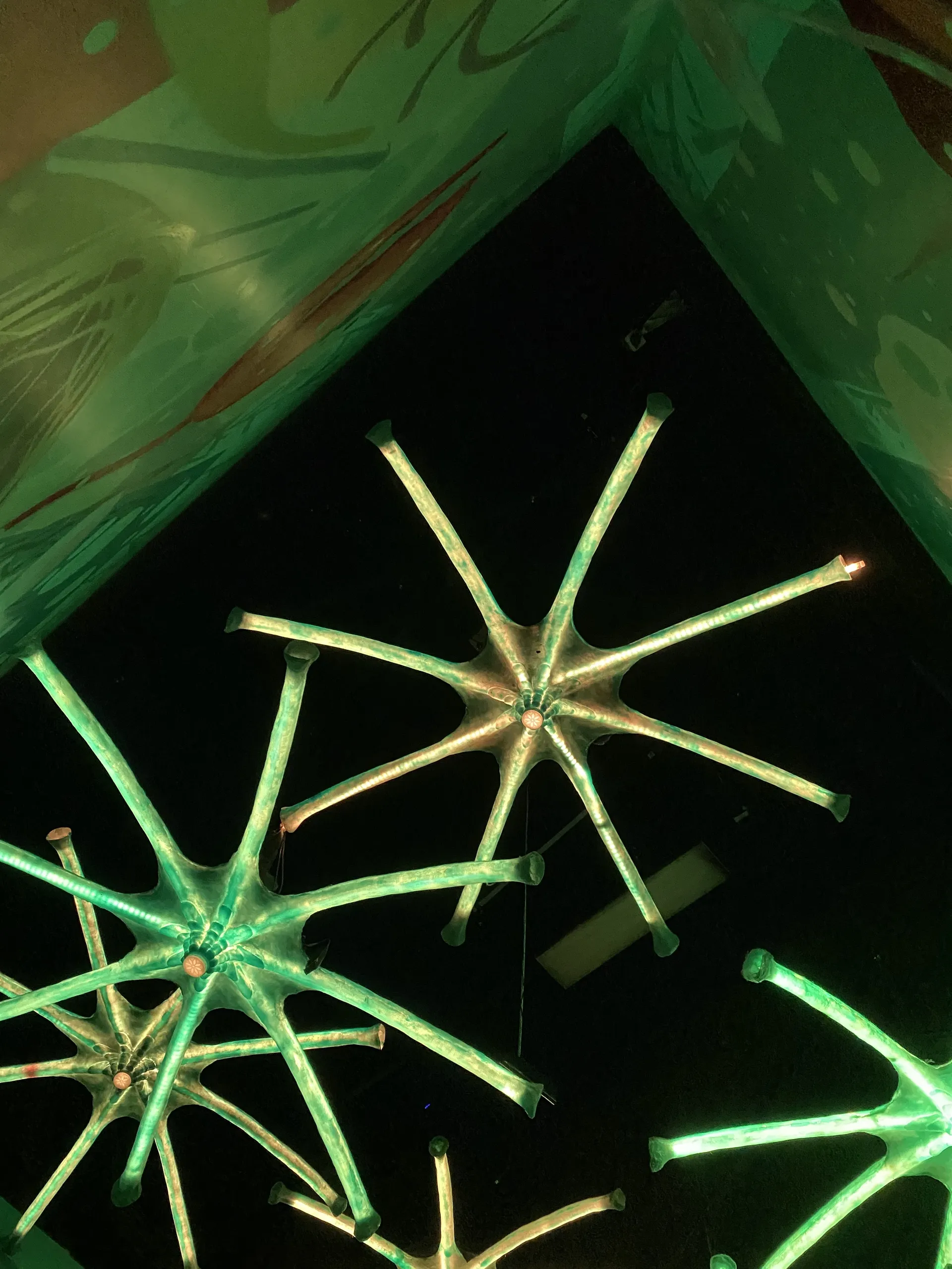BbyGreen OnlyFans header