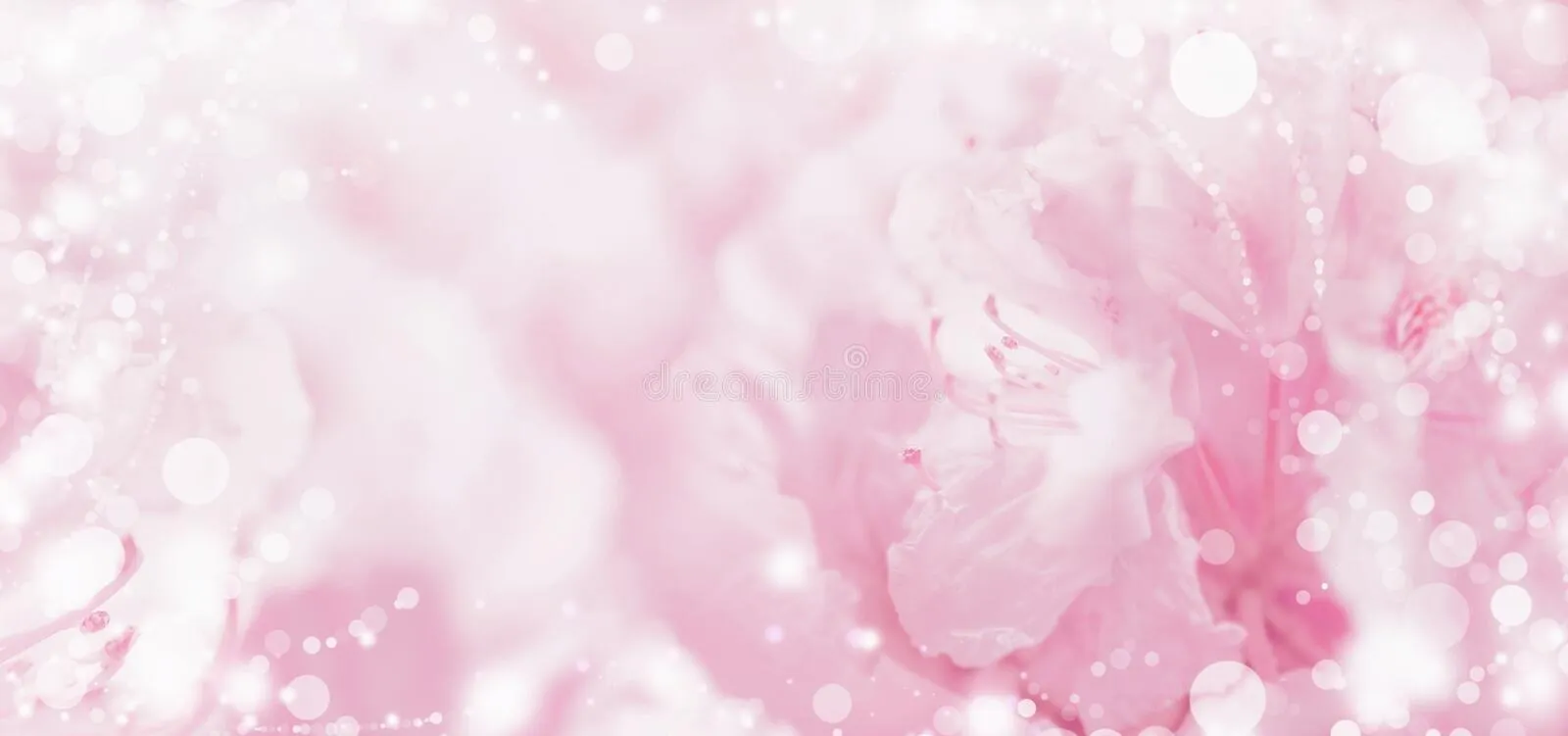 Lorena OnlyFans header