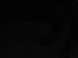 ashley OnlyFans profile picture