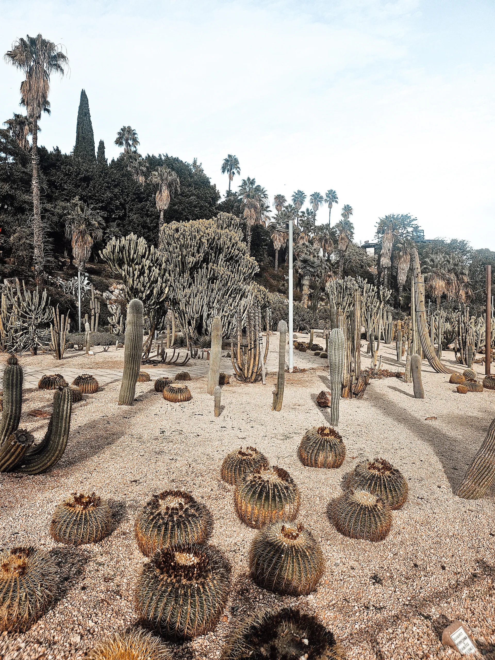 BCN lover big OnlyFans header