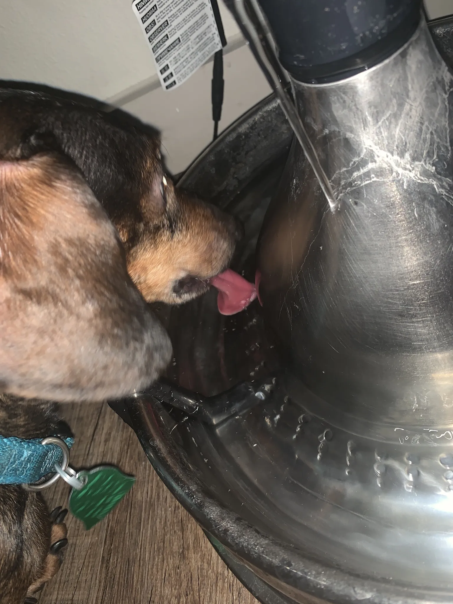 ßcumm OnlyFans header