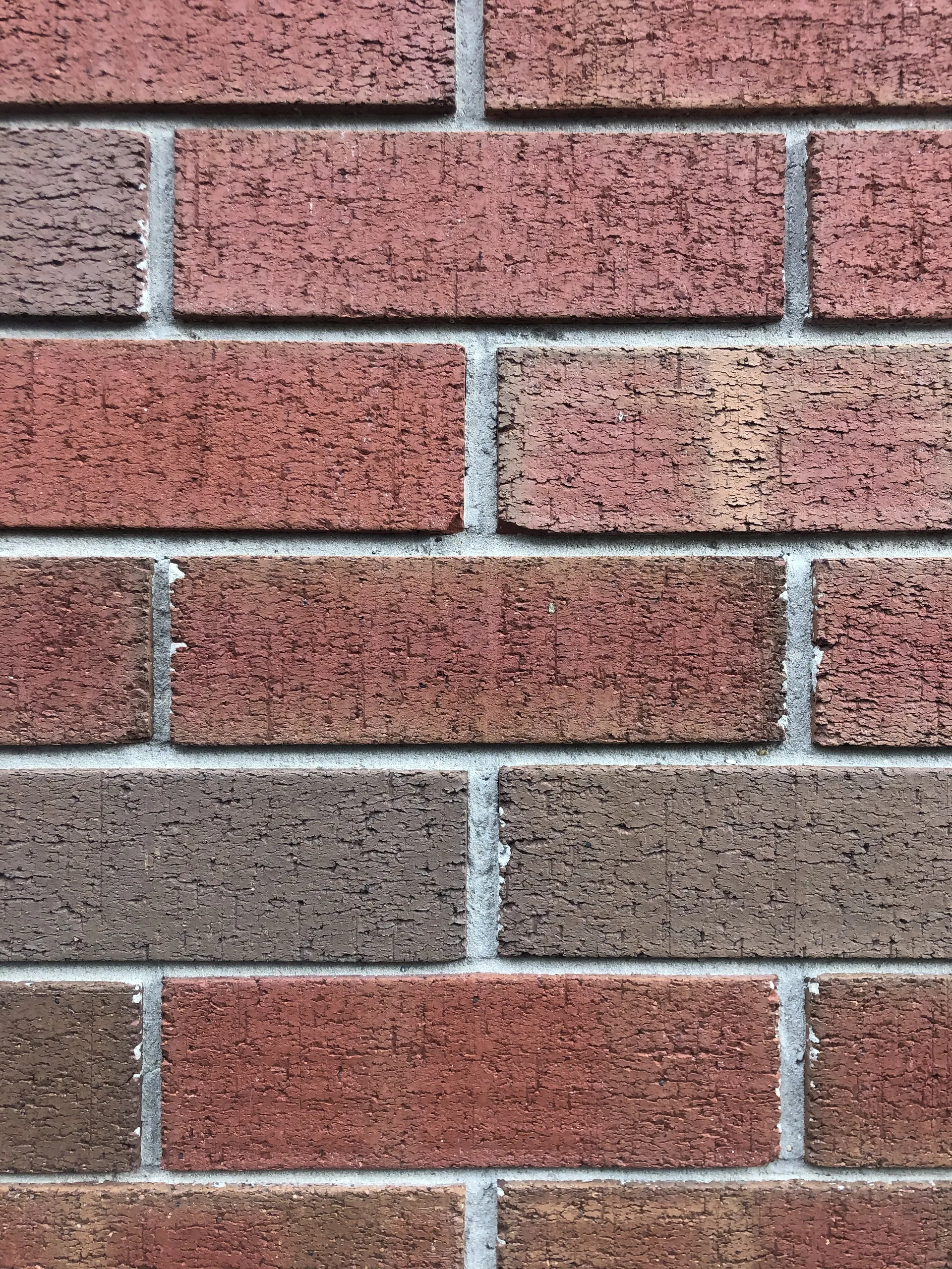 bD9912 OnlyFans header