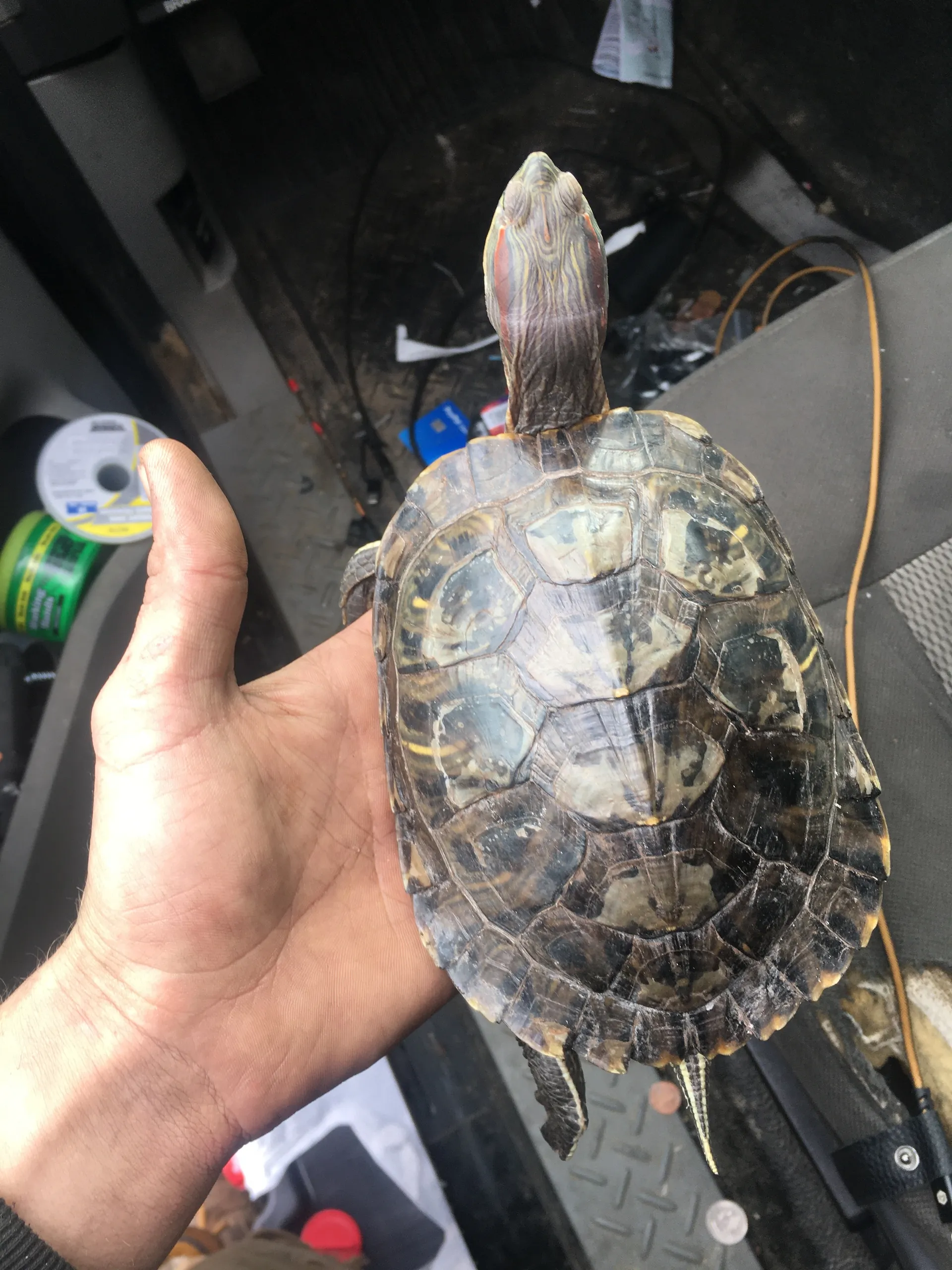 Stev-o OnlyFans header