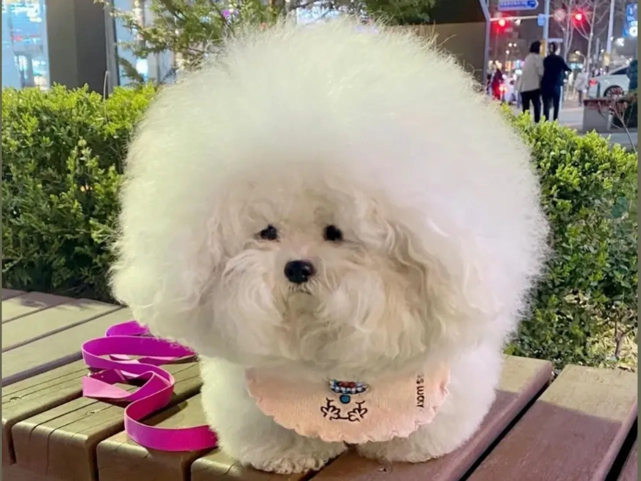 Bryan OnlyFans header